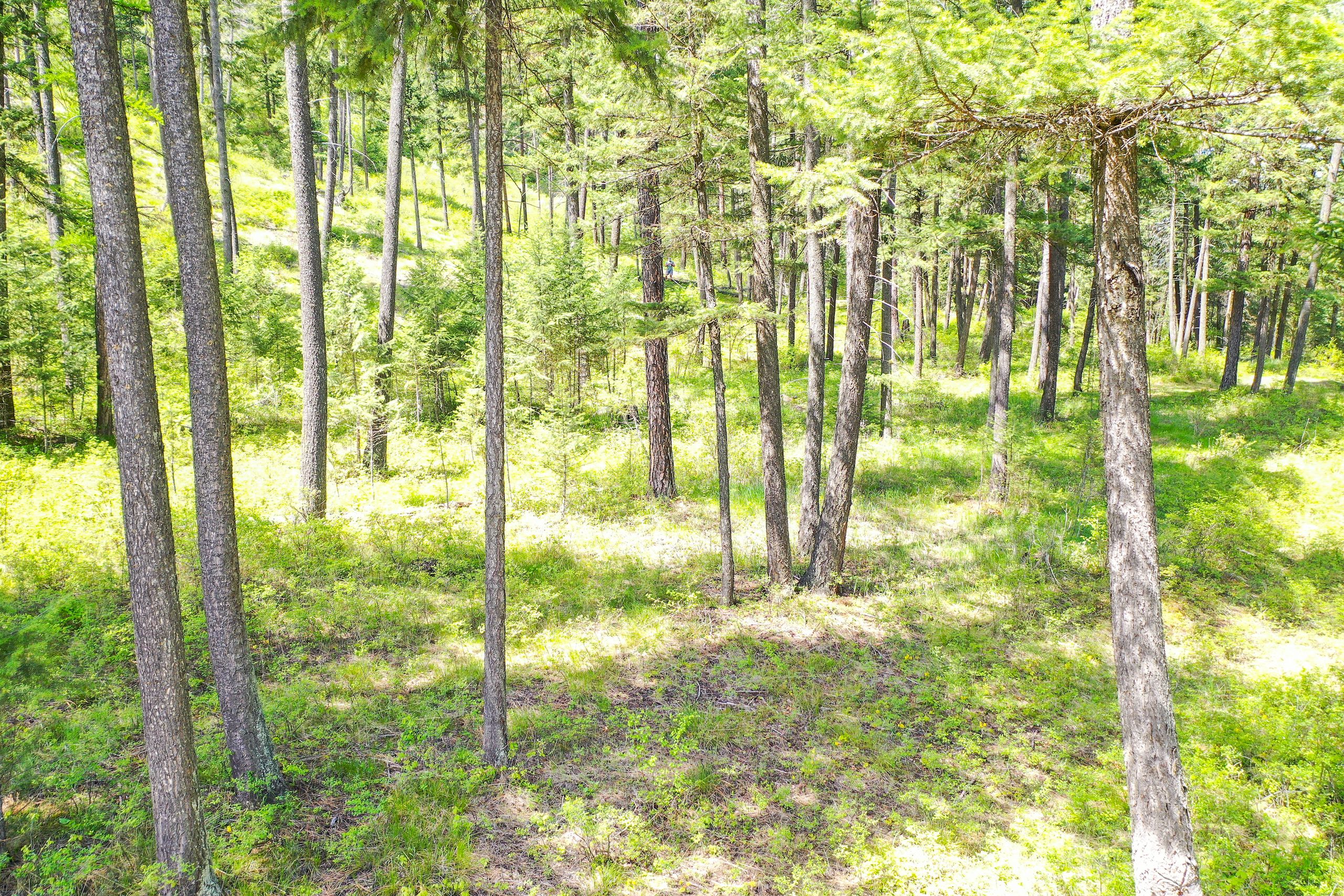 Superior, Mineral County, MT Recreational Property, Timberland Property