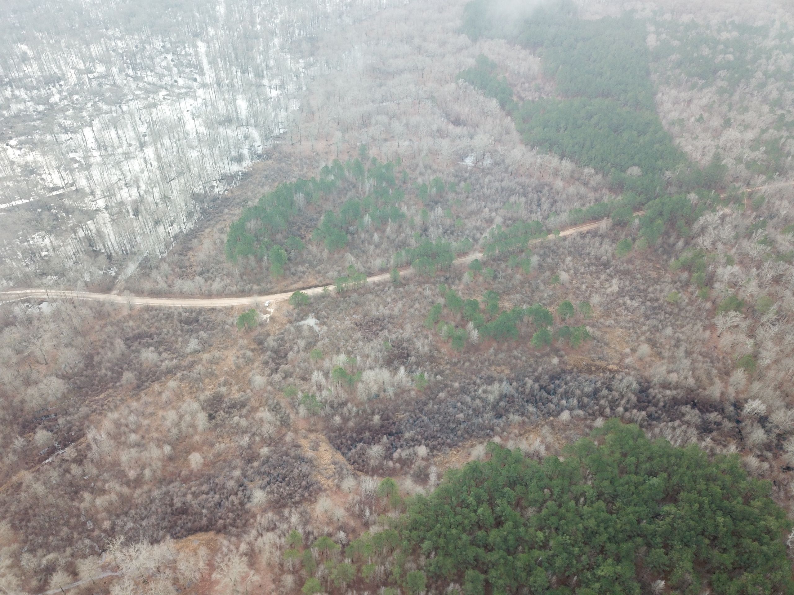 Sterlington, Union Parish, LA Recreational Property, Timberland