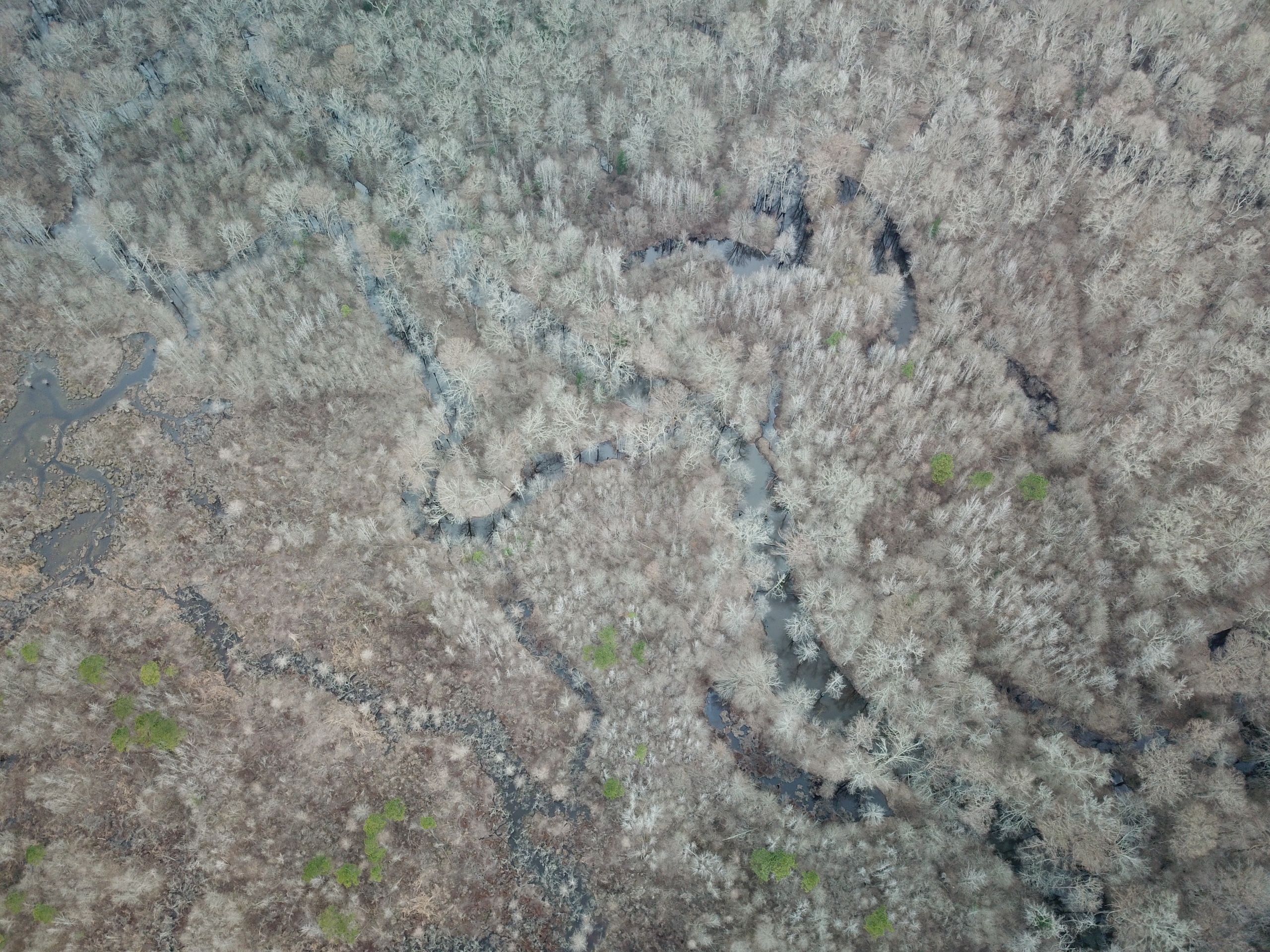 Spearsville, Union Parish, LA Recreational Property, Timberland Property, Hunting Property for