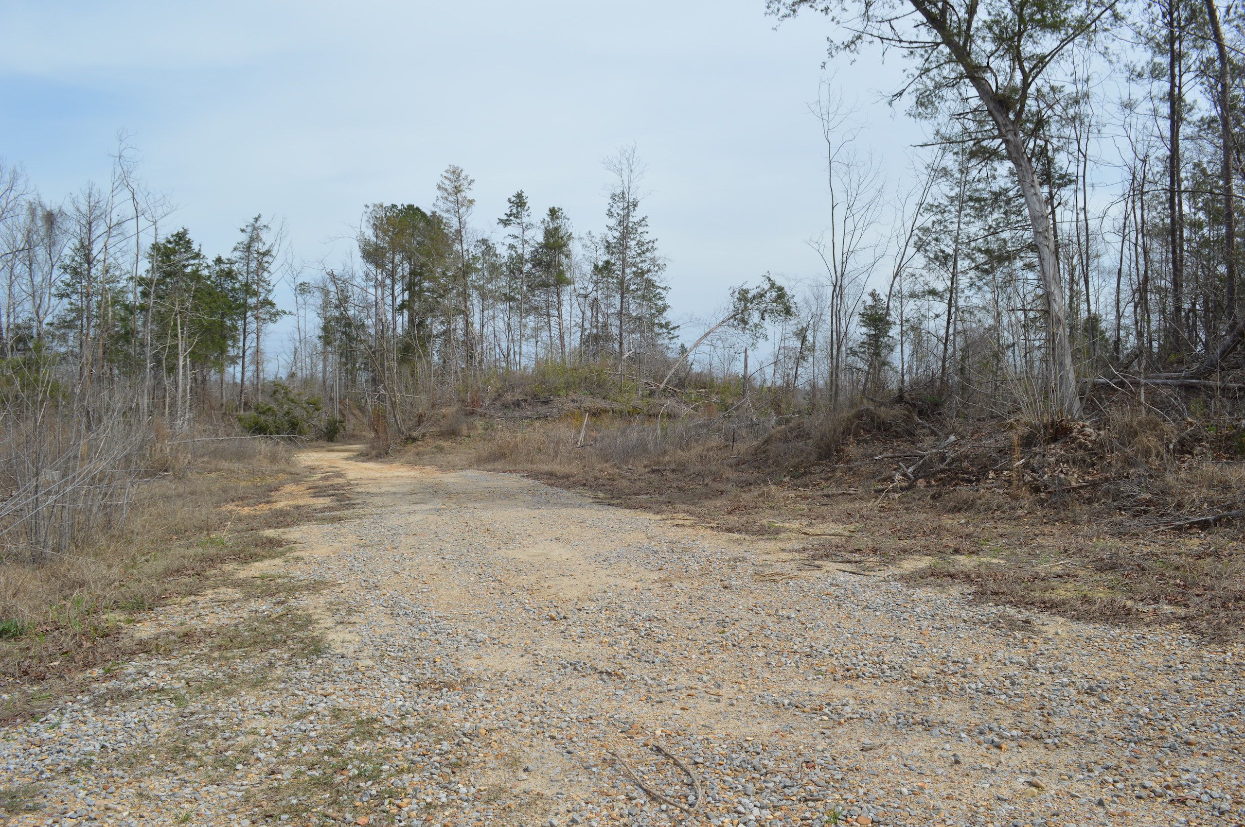 Port Gibson, Claiborne County, MS Recreational Property, Timberland