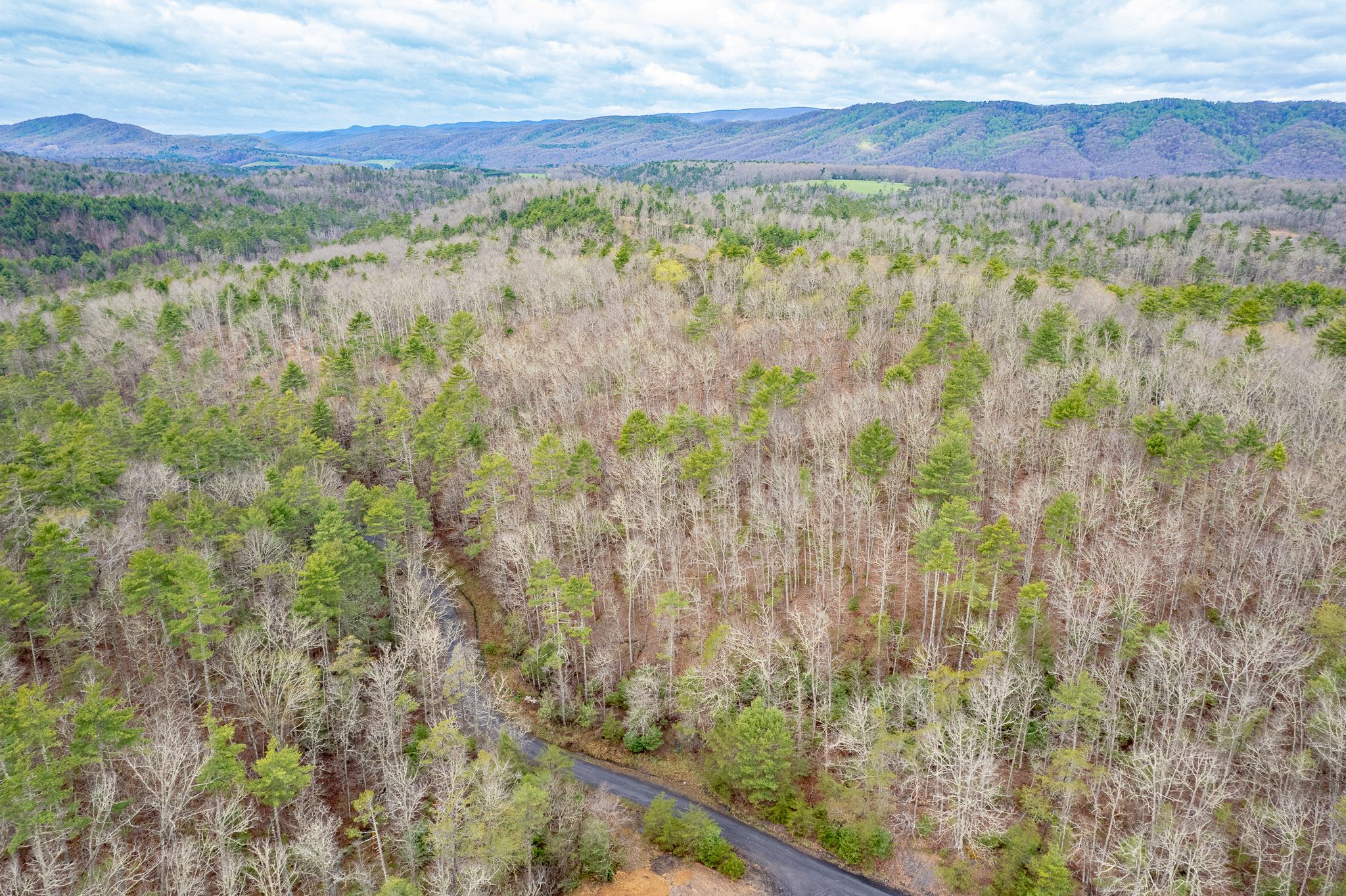 Warm Springs, Bath County, VA Recreational Property, Timberland Property, Hunting Property for