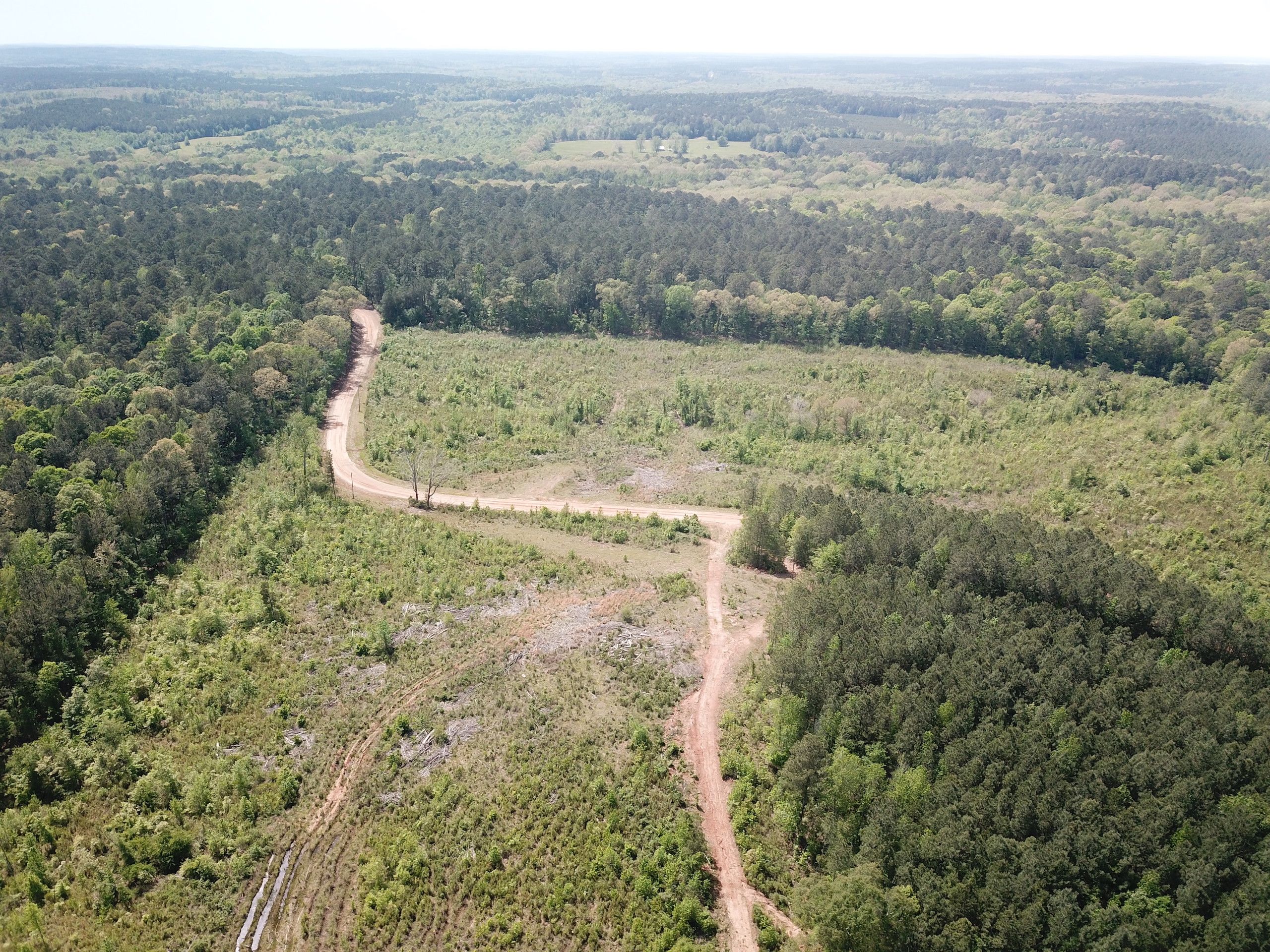 Arcadia, Lincoln Parish, LA Recreational Property, Timberland Property, Hunting Property for