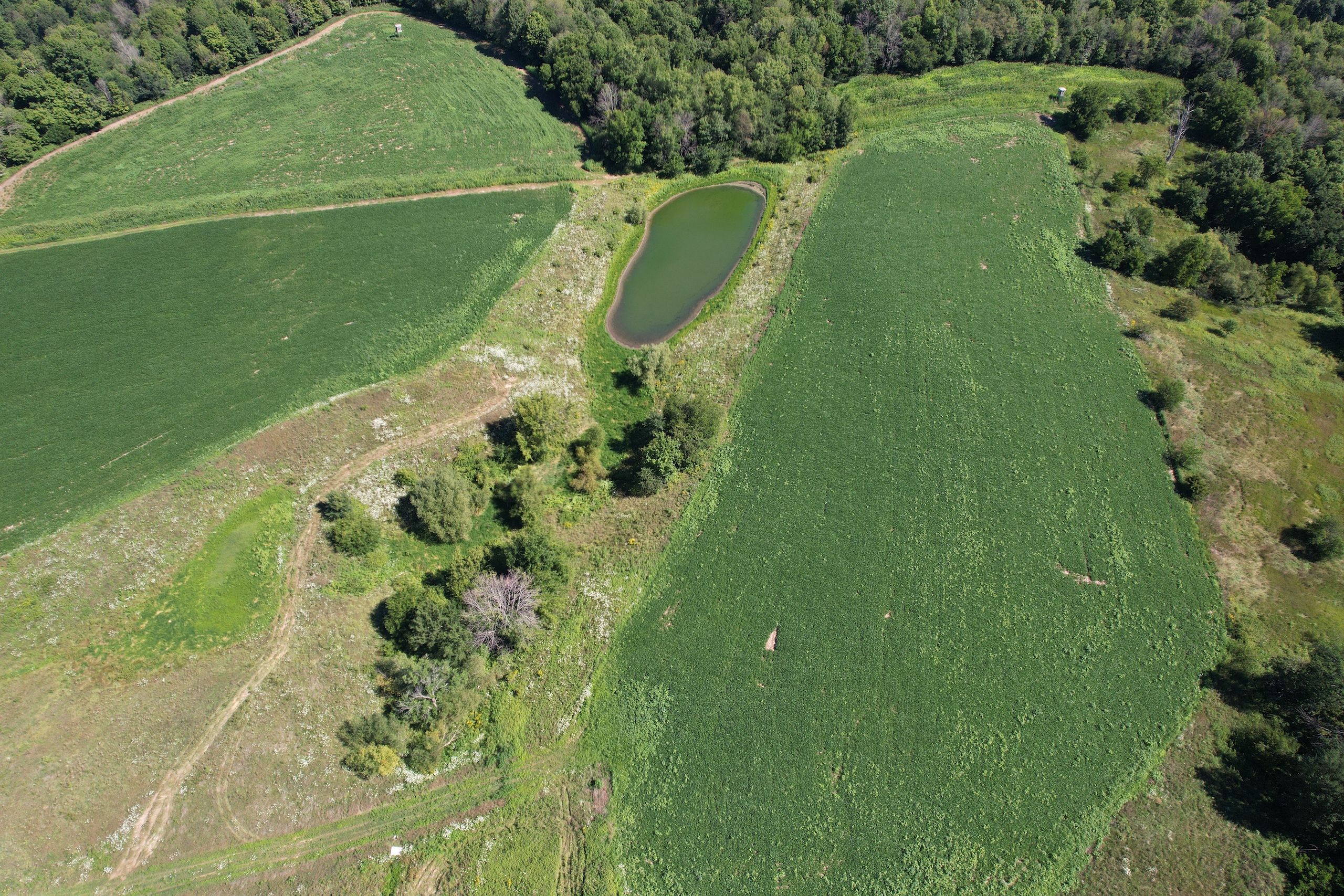 345th Street, Strawberry Point, IA 52076 LandWatch