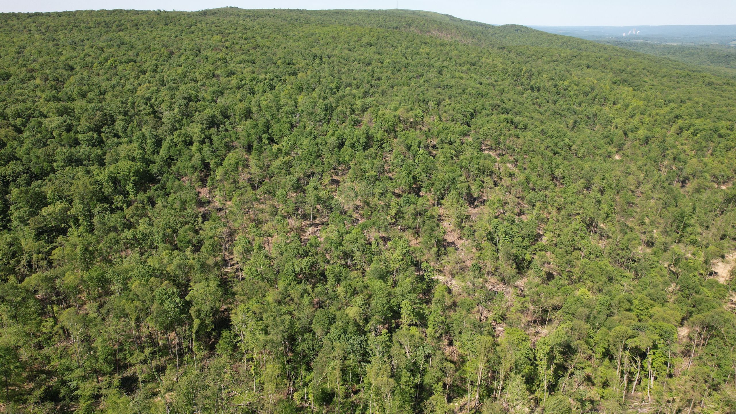 Derry, Westmoreland County, PA Recreational Property, Timberland