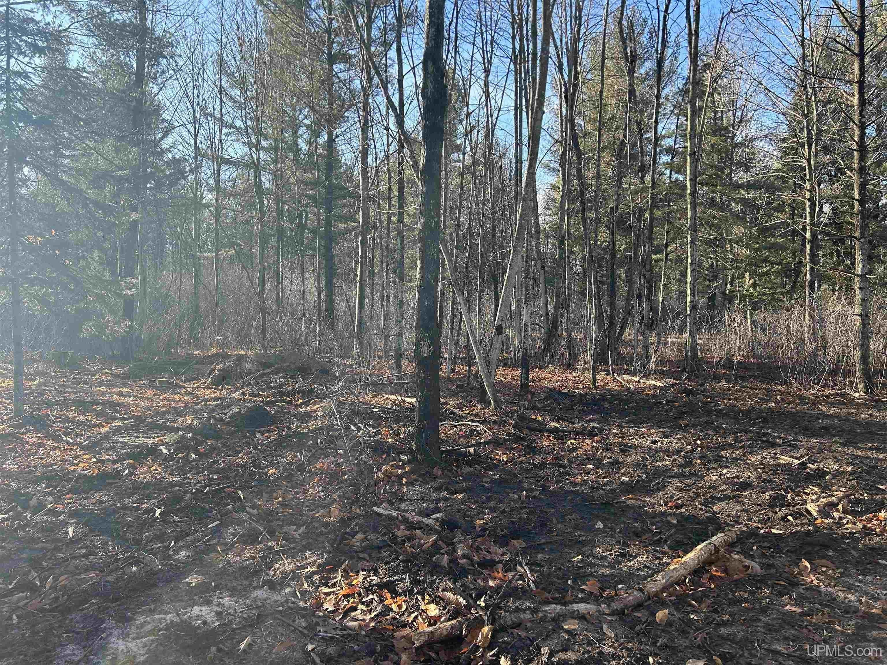 Escanaba, Delta County, MI Undeveloped Land for sale Property ID