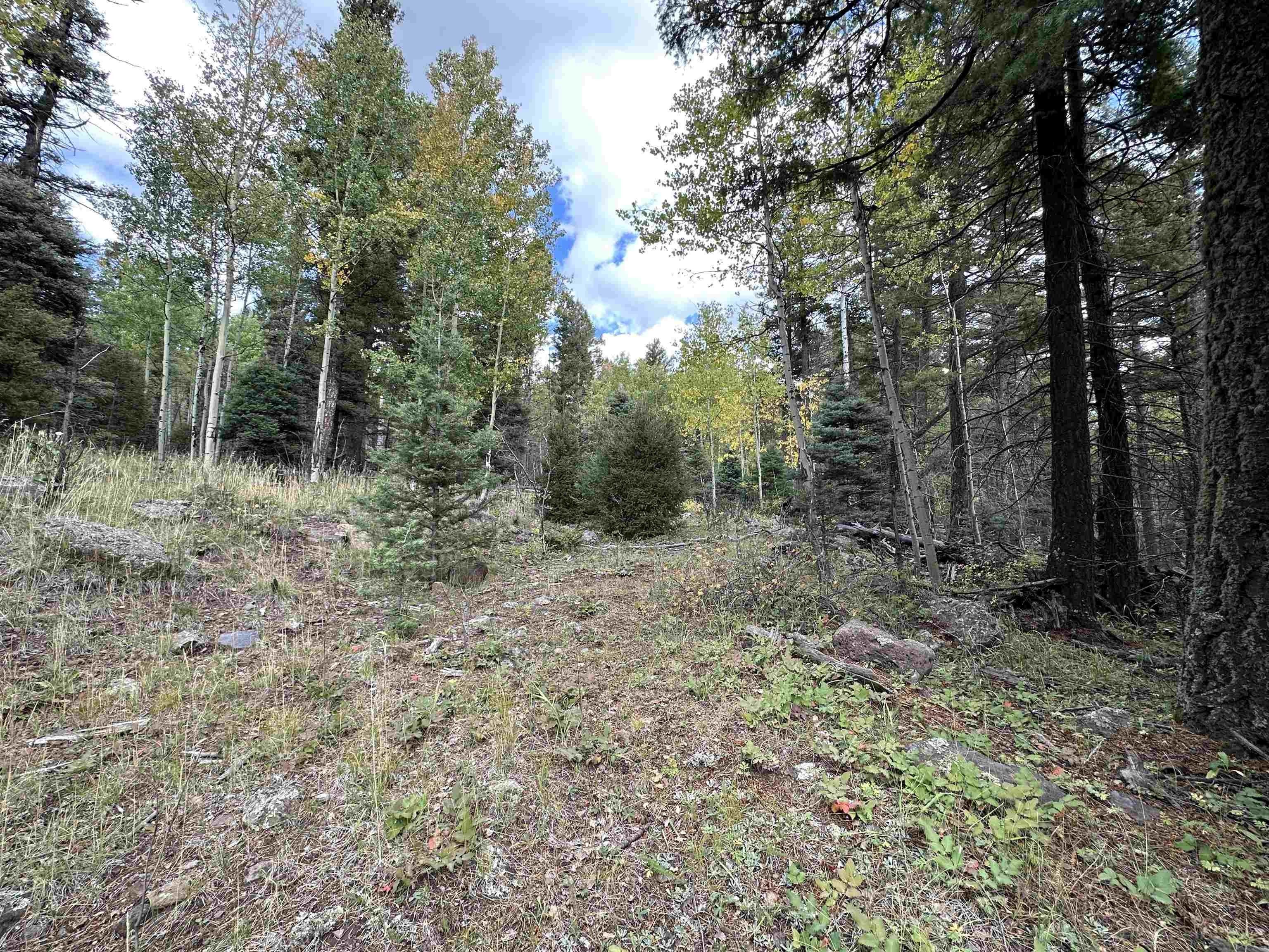 Angel Fire, Colfax County, NM Undeveloped Land, Homesites for sale