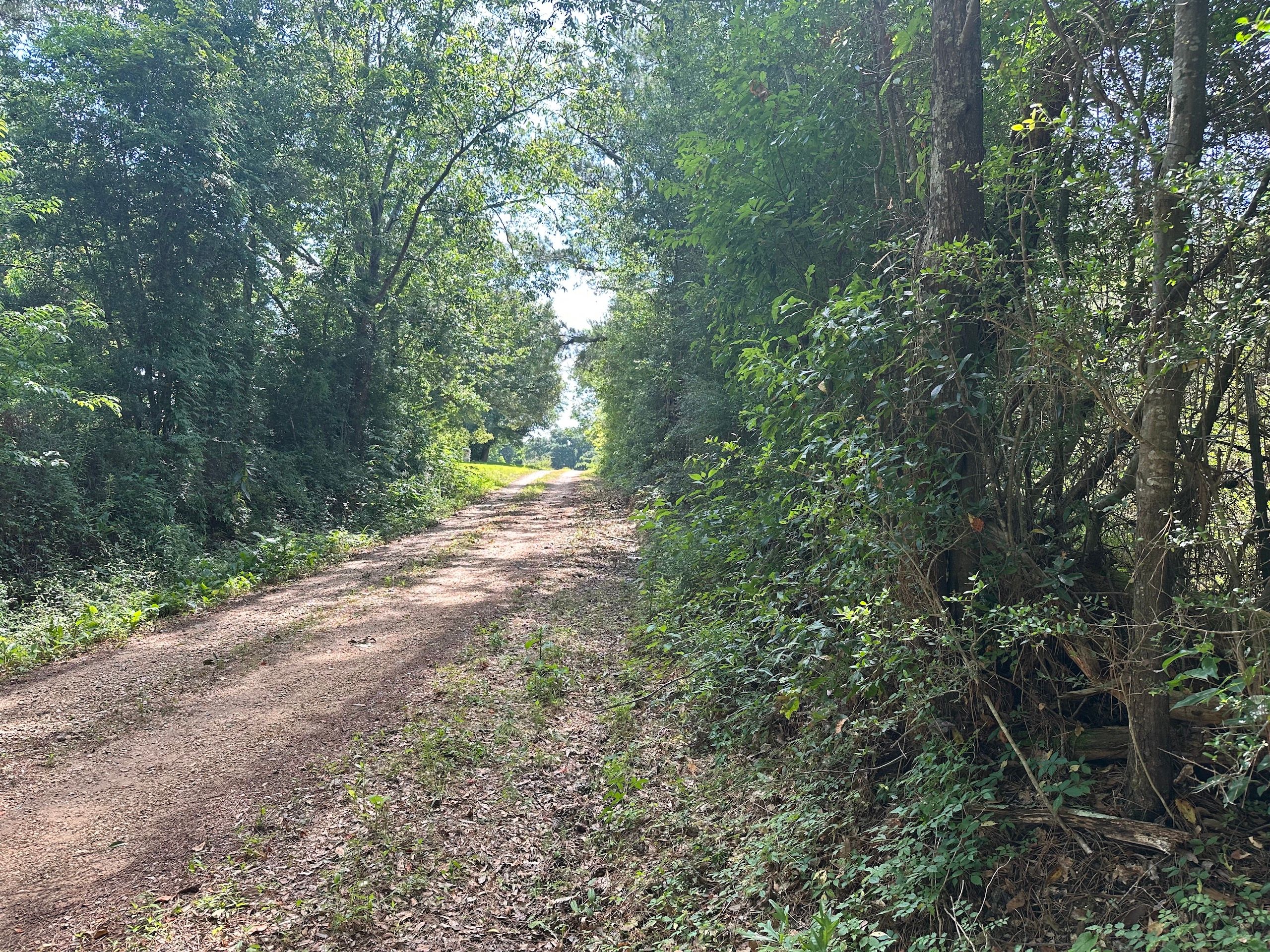 J S King Road, LotWP001, Franklinton, LA 70711 LandWatch