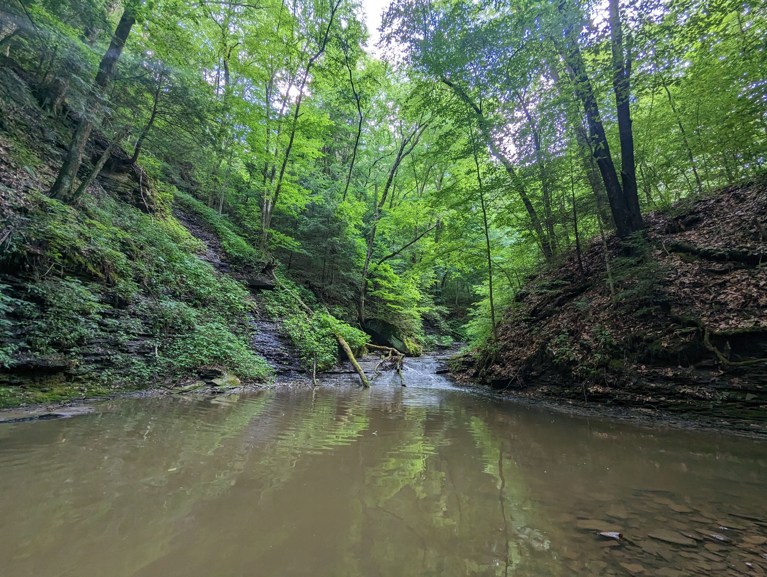 East Liverpool, Columbiana County, OH Recreational Property, Timberland