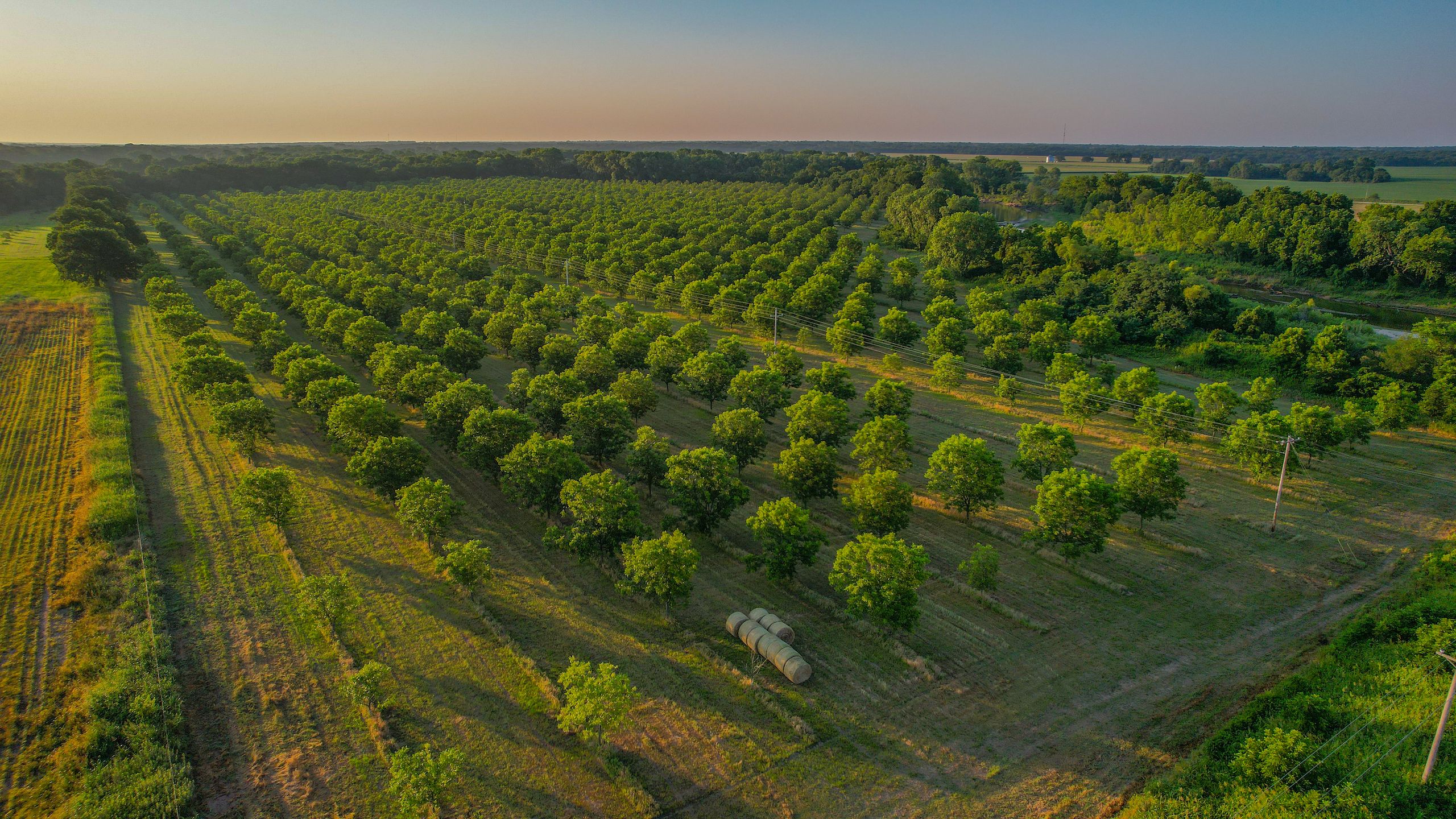 Prague, Pottawatomie County, OK Recreational Property, Hunting Property