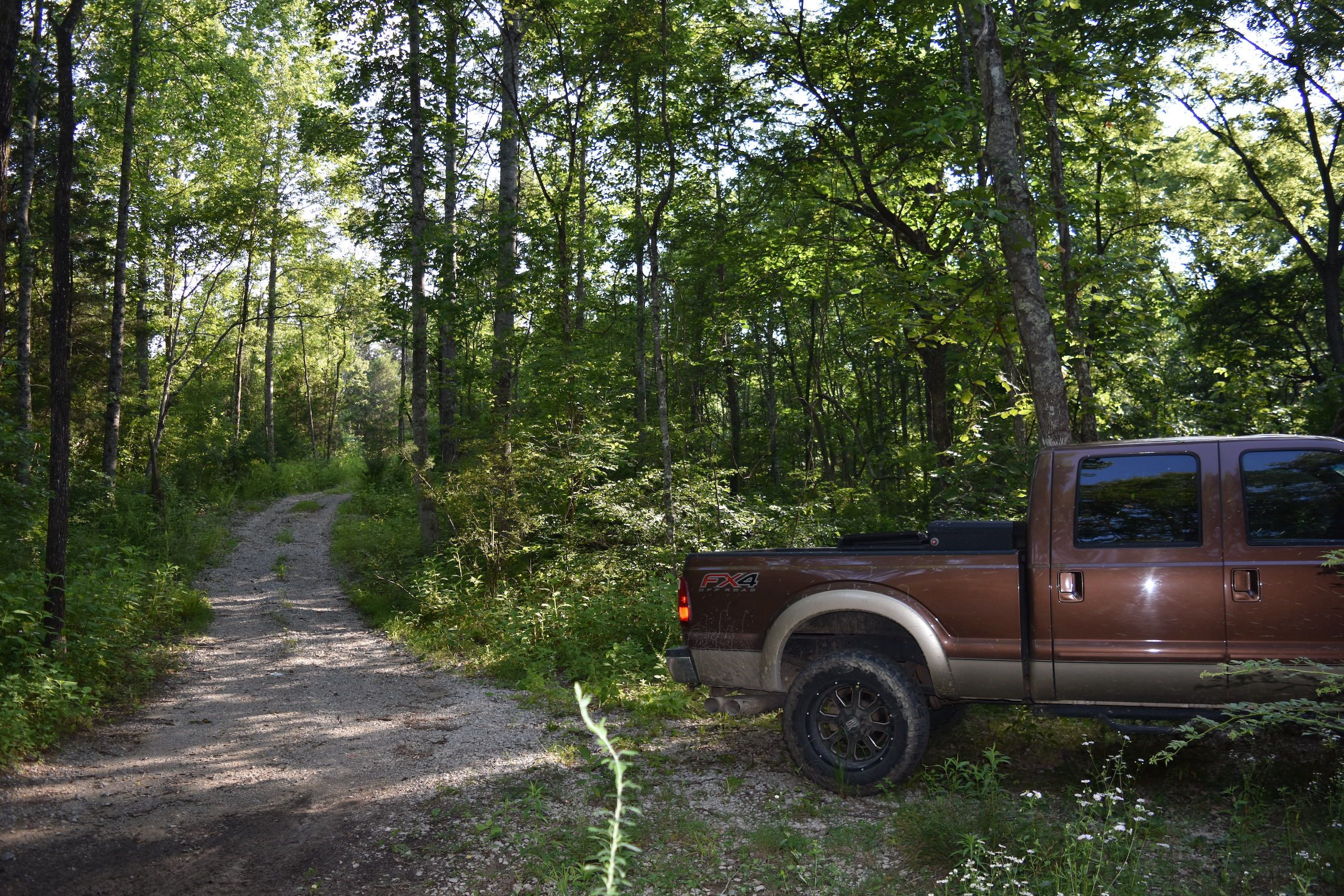 Somerset, Pulaski County, KY Recreational Property, Timberland Property