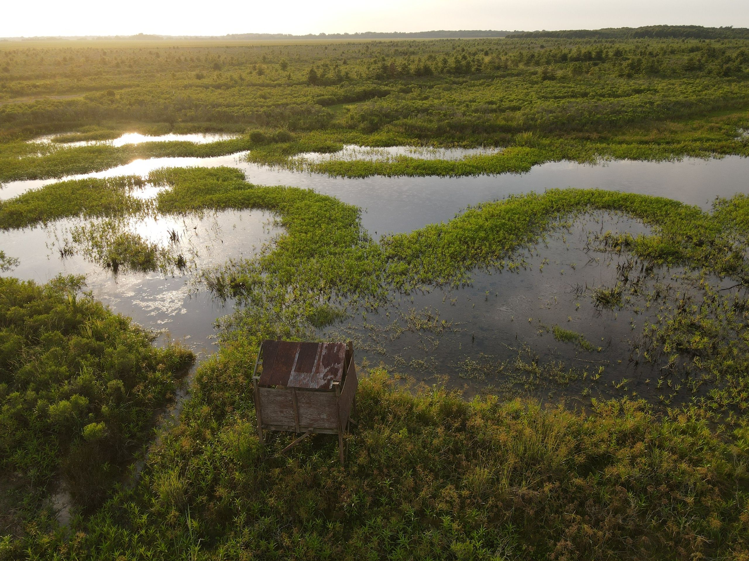 Ralph Easterling Road Lot wp001, Fort Necessity, LA 71243 LandWatch