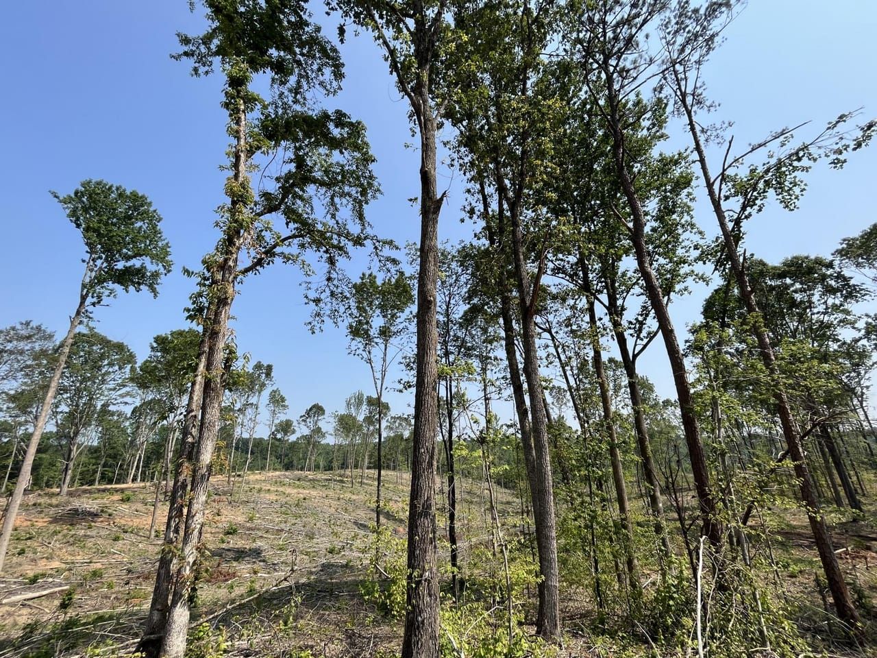 Russellville, Franklin County, AL Farms and Ranches, Recreational Property, Hunting Property for