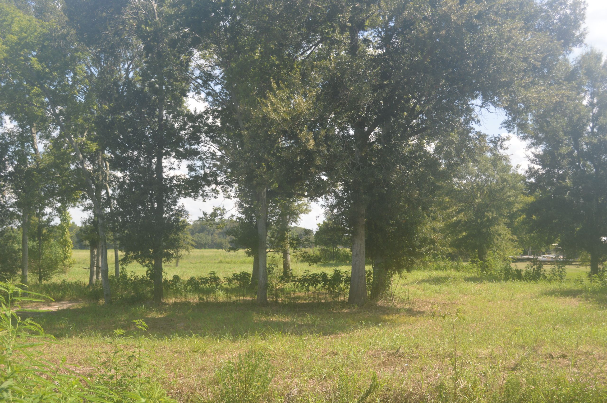 LotWP001, Morse, LA 70559 LandWatch