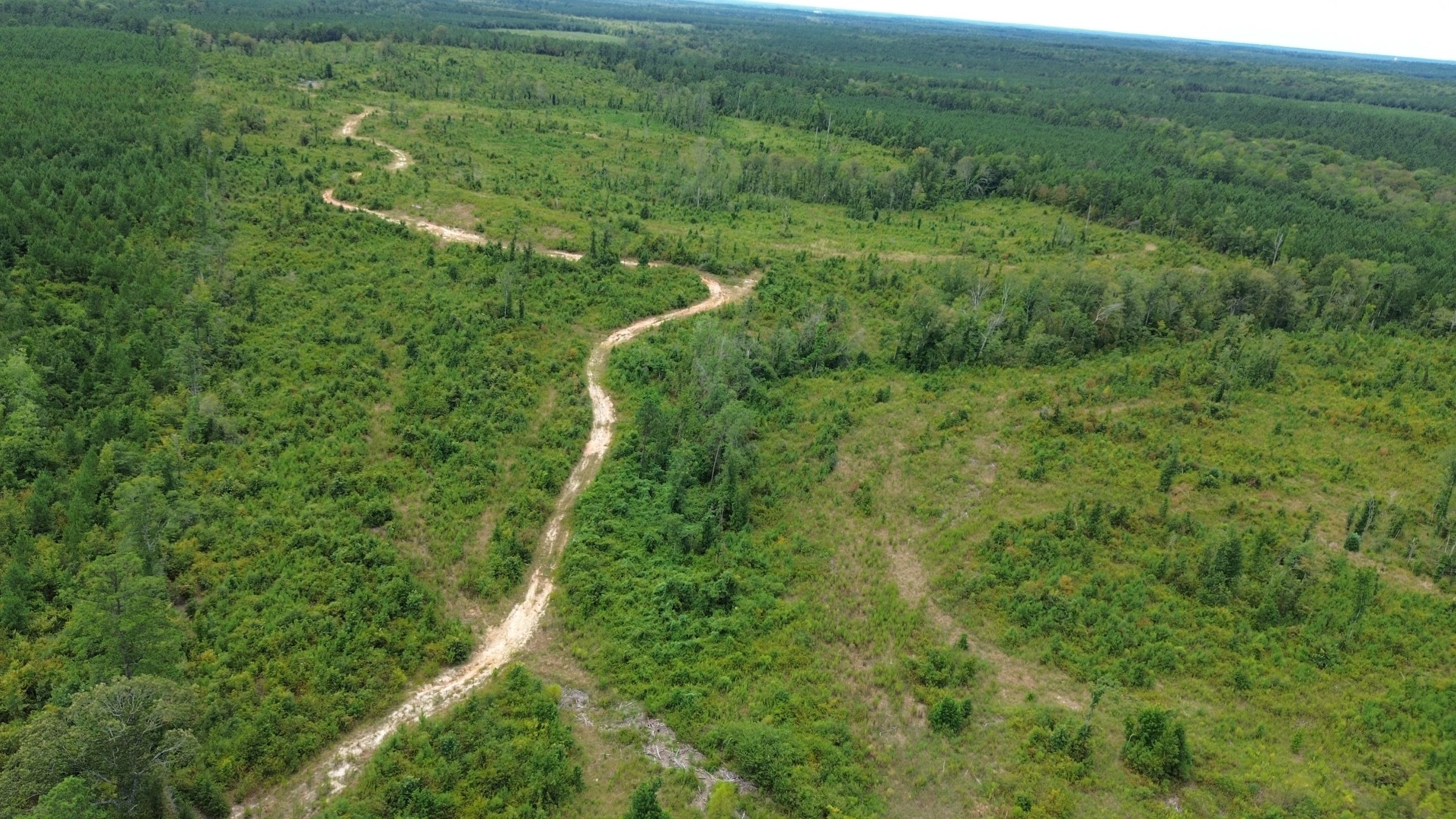 Dodson, Winn Parish, LA Recreational Property, Timberland Property