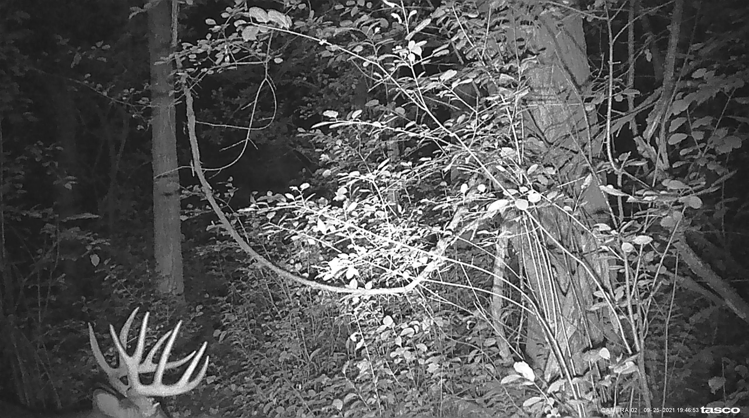 RR, Houlton, WI 54082 MLS 1576136 LandWatch