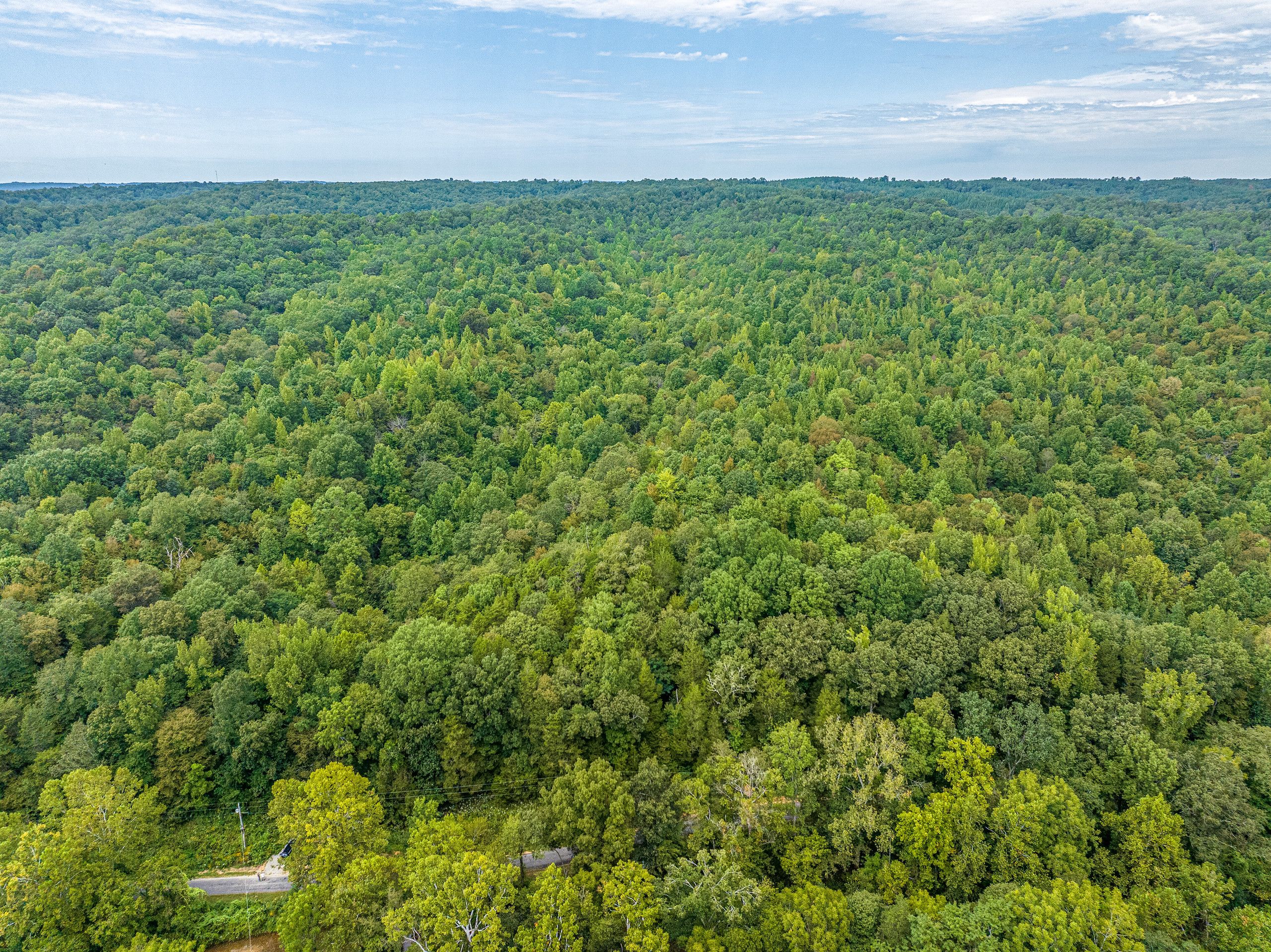 0 Hurricane Creek Rd, LotWP001, Linden, TN 37096 MLS 2567453