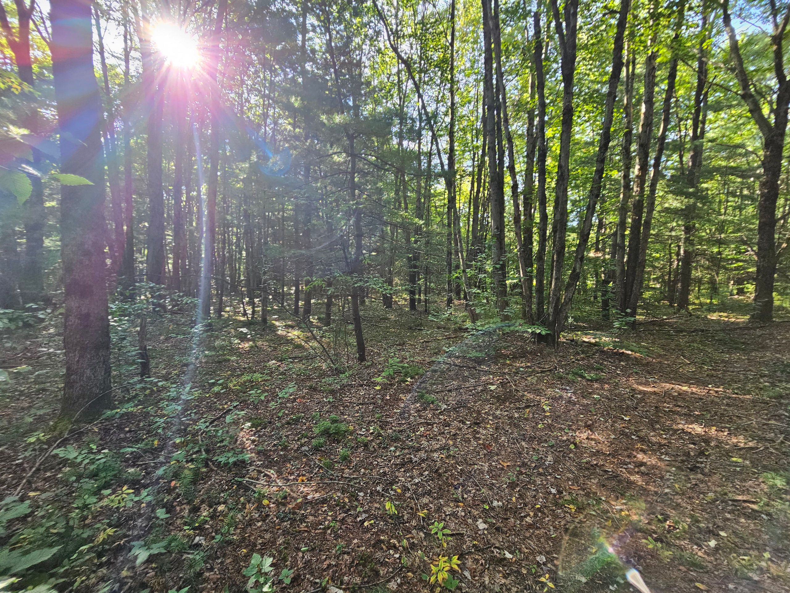 South New Berlin, Chenango County, NY Recreational Property, Undeveloped Land for sale Property