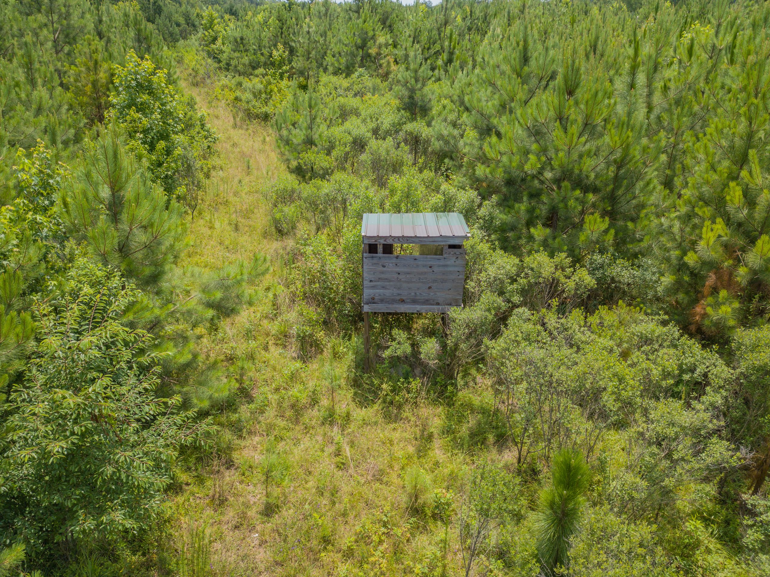 Washington, Wilkes County, GA Recreational Property, Hunting Property