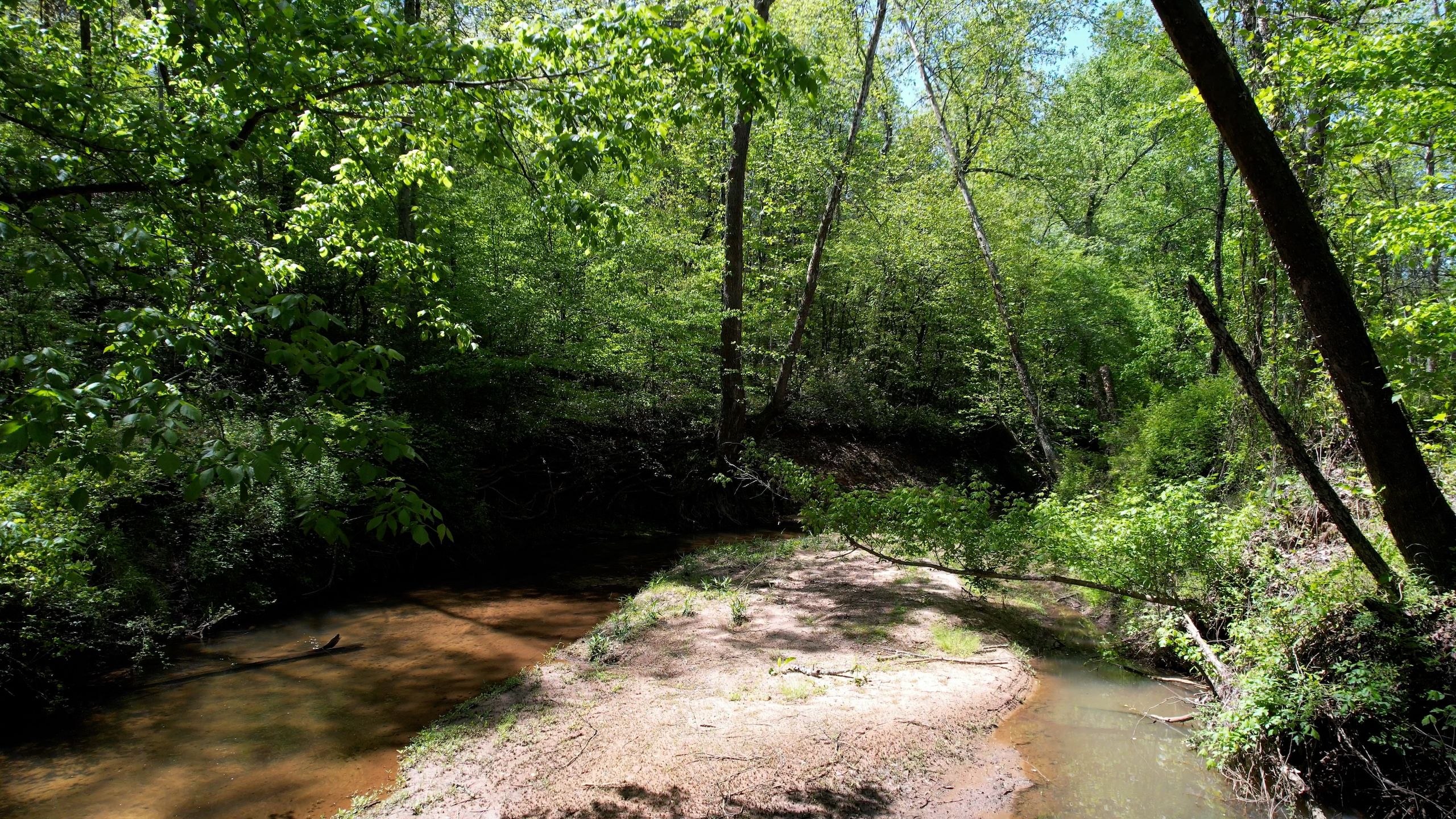 00 Casar Belwood Road, Lawndale, NC 28090 MLS 4070513 LandWatch