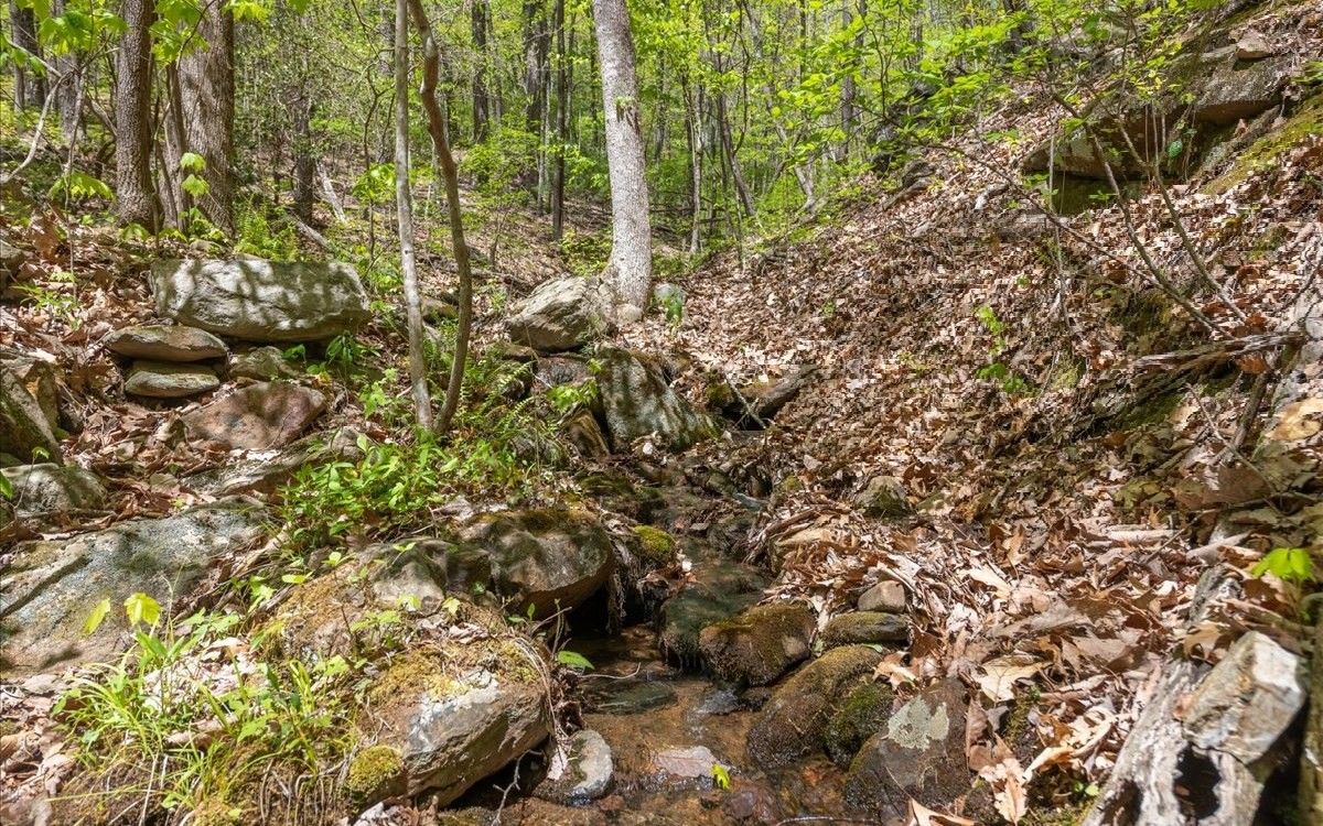 Ellijay, Gilmer County, GA for sale Property ID 418568484 LandWatch