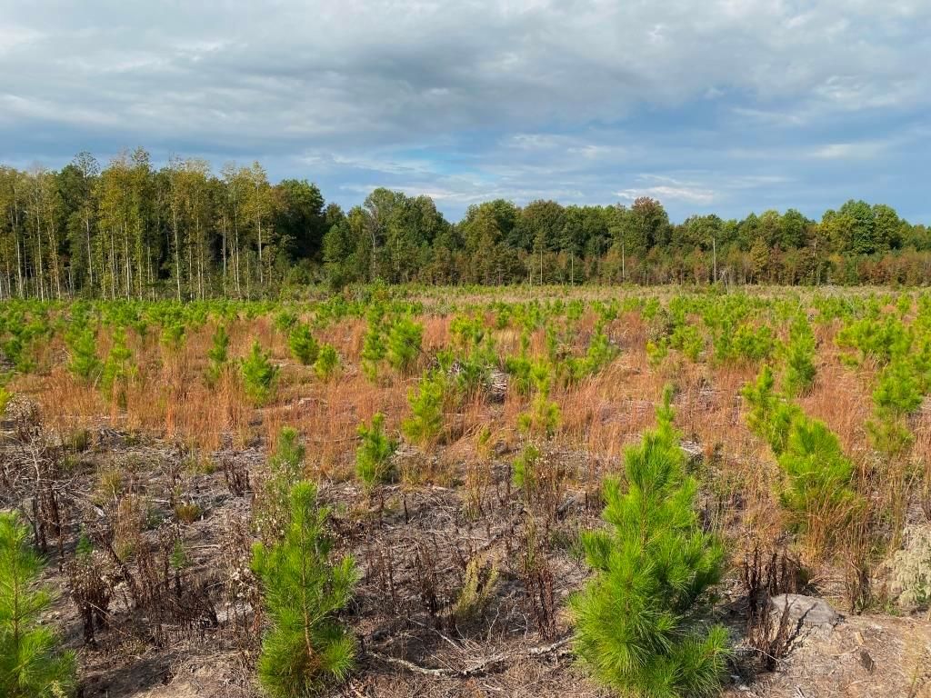 Previtte Road, Morven, NC 28119 LandWatch