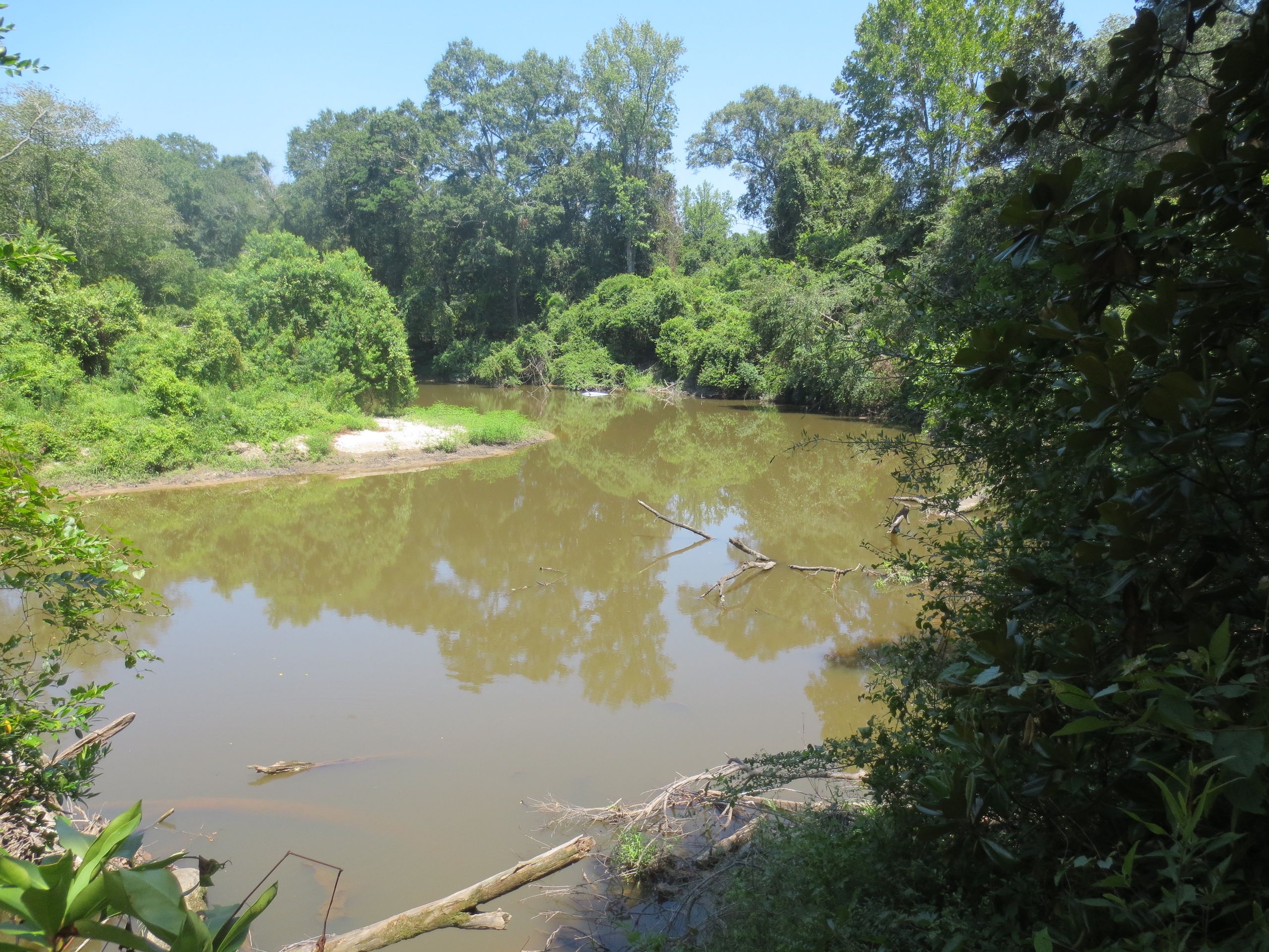 Old Hwy 49, LotWP001, Seminary, MS 39479 LandWatch