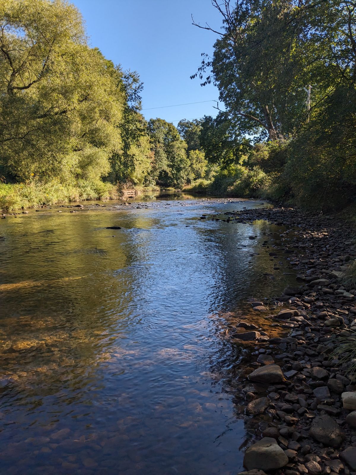 115 Keener, Rochester Mills, PA 15771 LandWatch