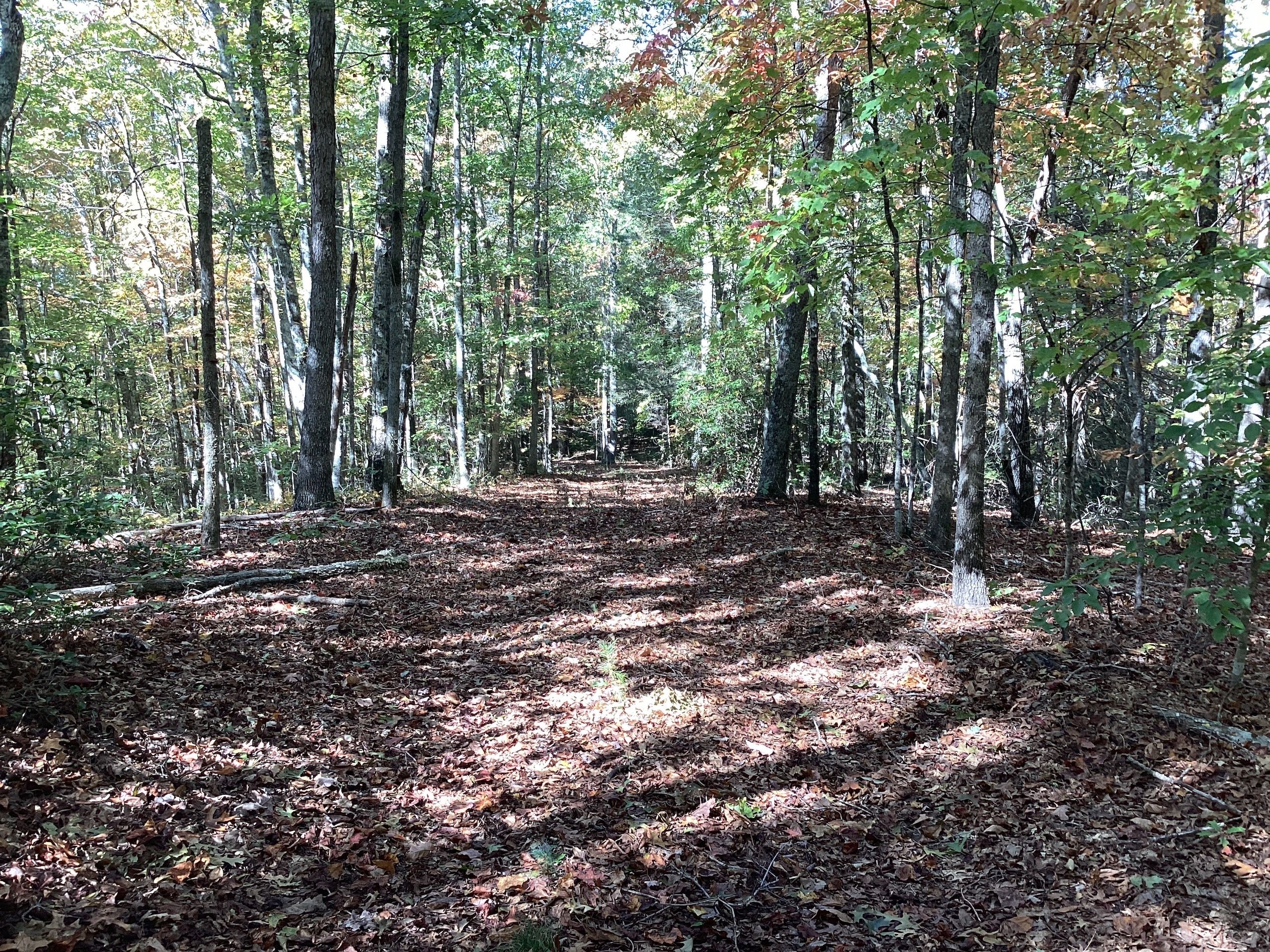 Nebo, McDowell County, NC Recreational Property, Timberland Property