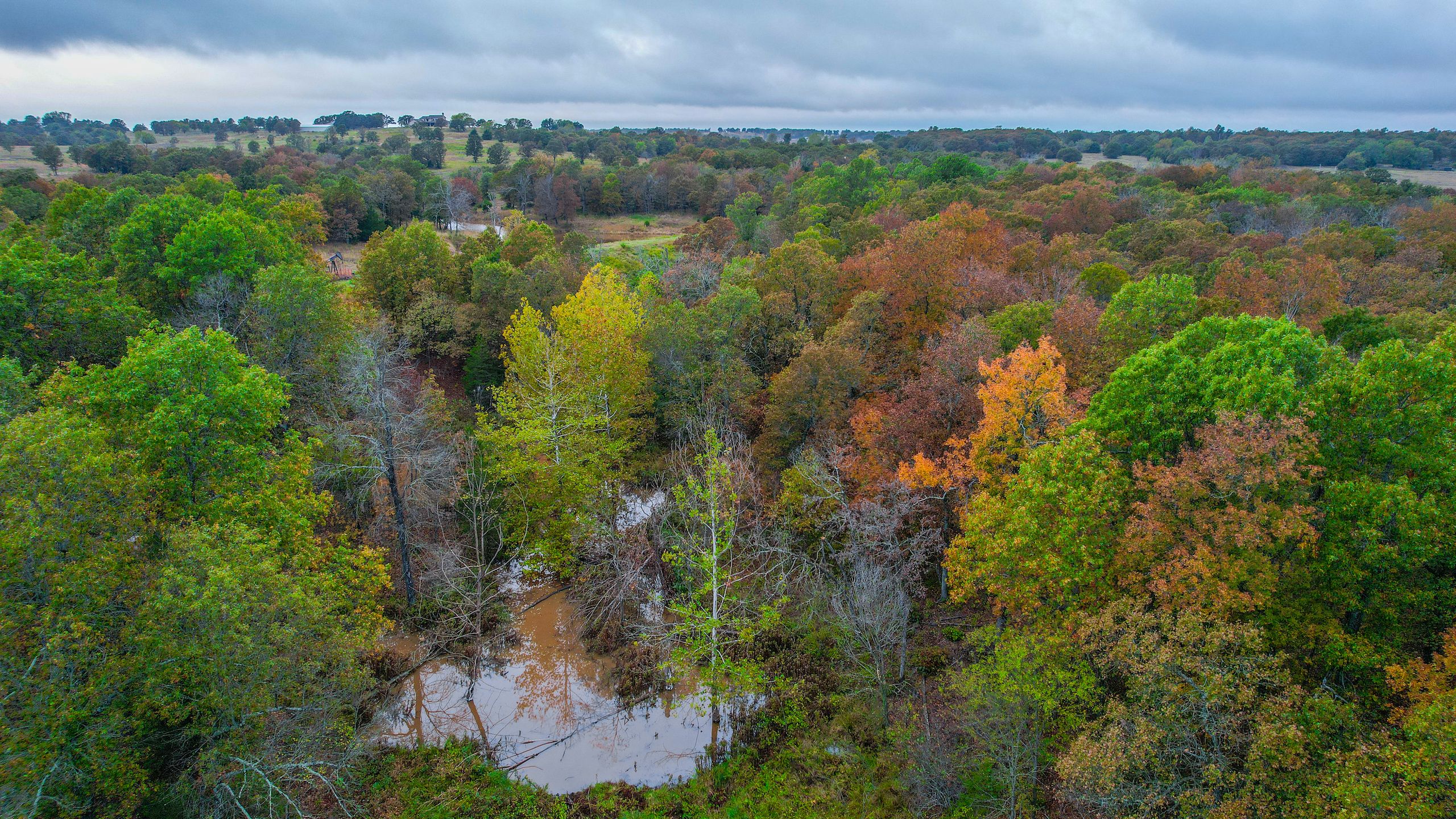Bristow, Creek County, OK Hunting Property for sale Property ID