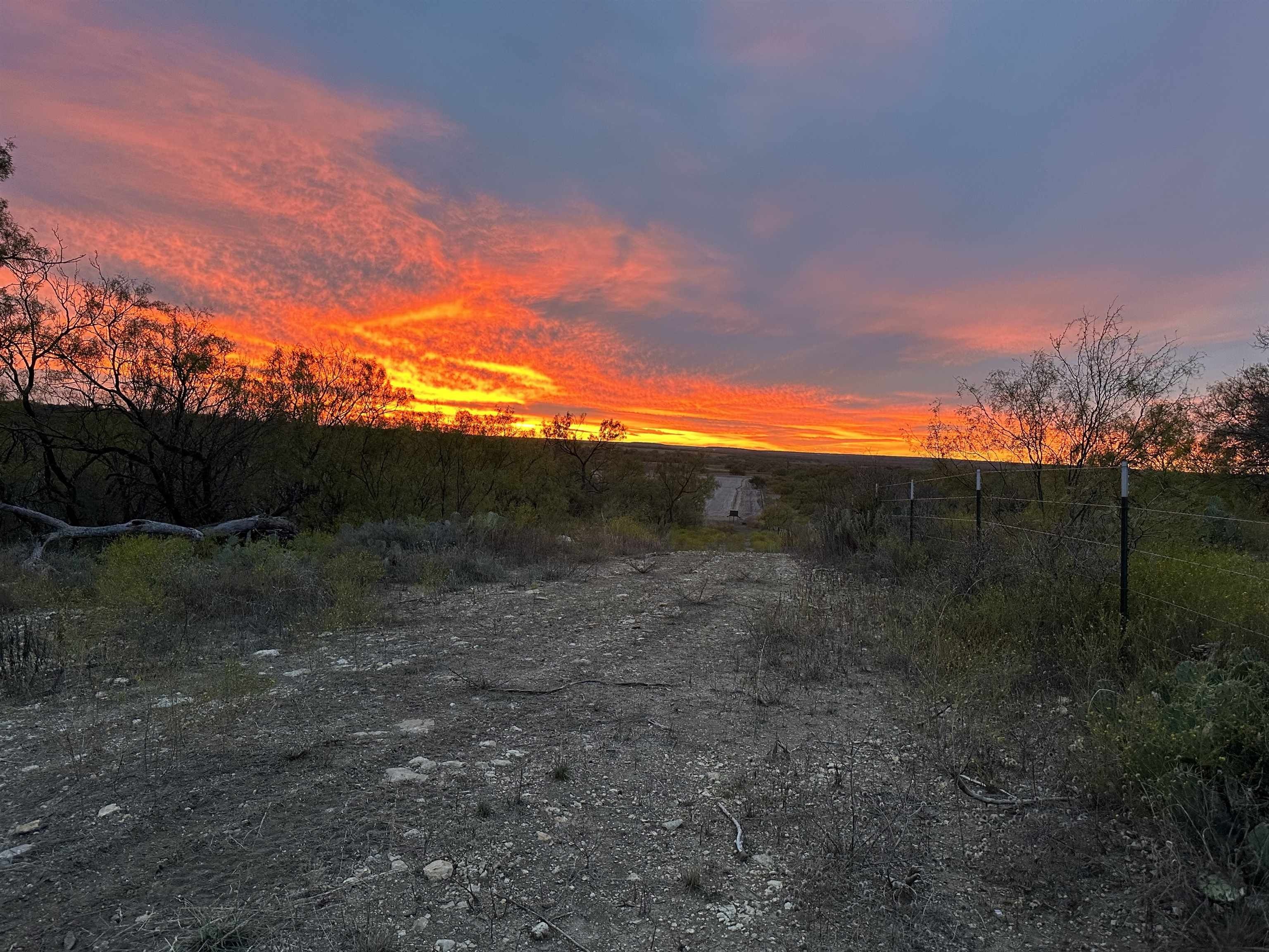 Coleman, Coleman County, TX Farms and Ranches for sale Property ID