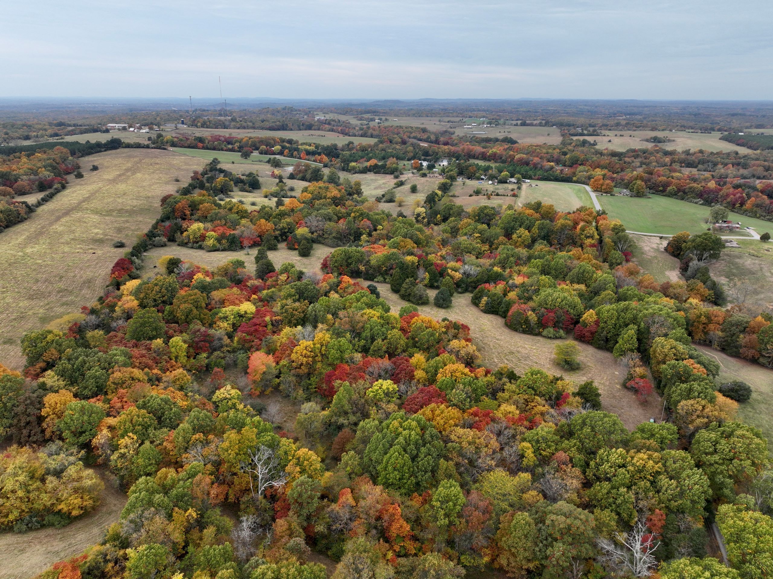 Goreville, Johnson County, IL Farms and Ranches, Recreational Property, Hunting Property for