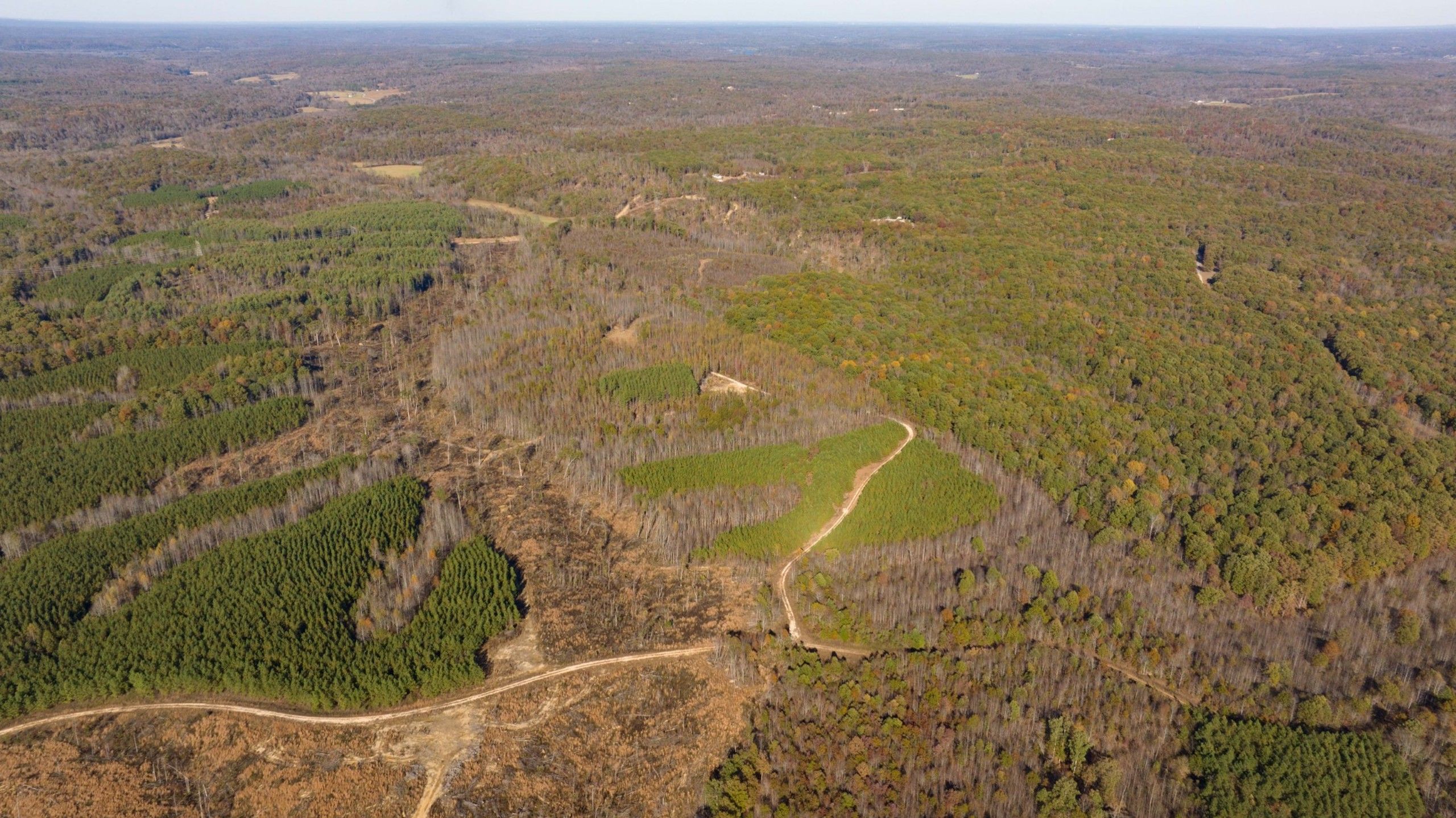 Stewart, Stewart County, TN Recreational Property, Undeveloped Land