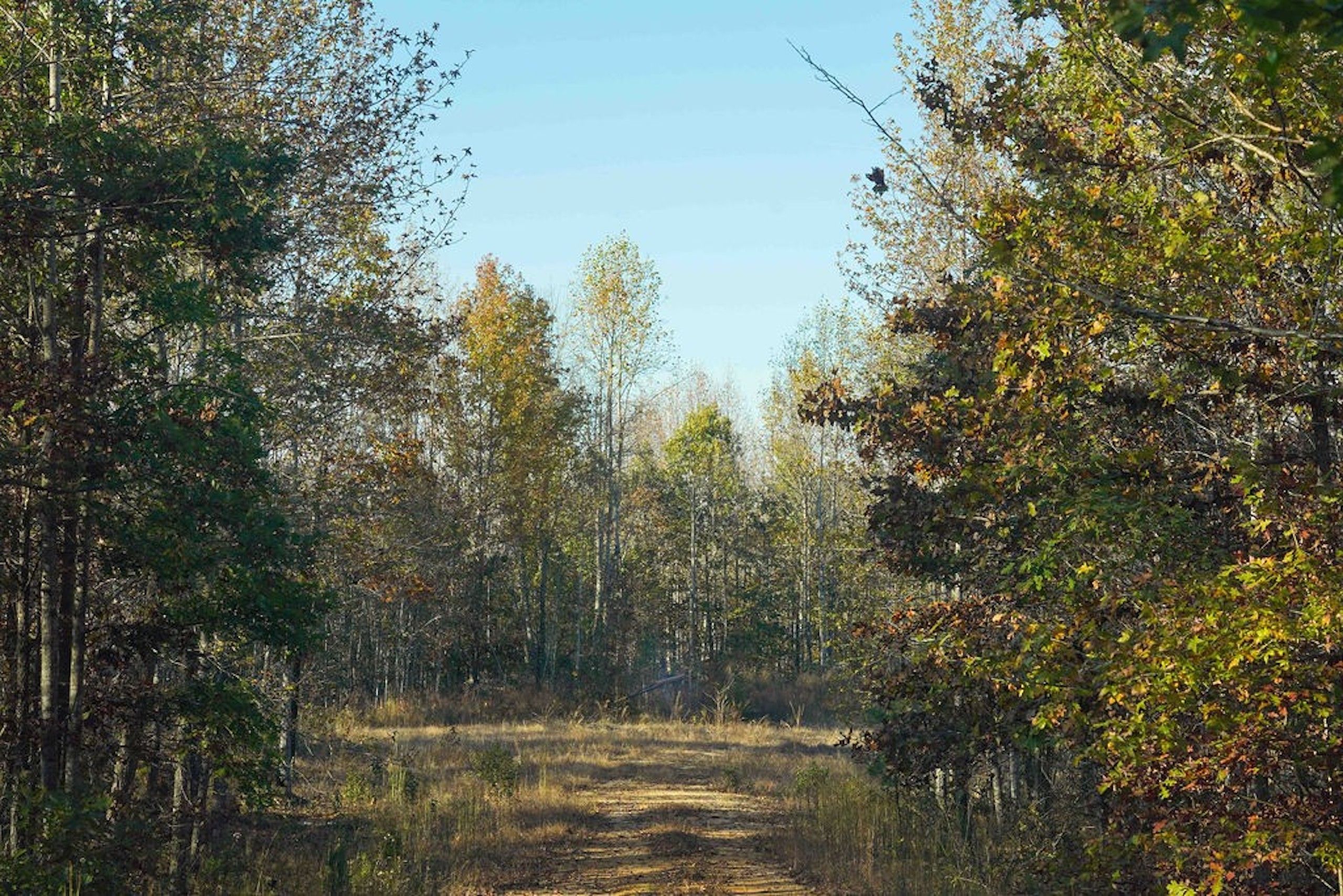 Stewart, Stewart County, TN Recreational Property, Undeveloped Land