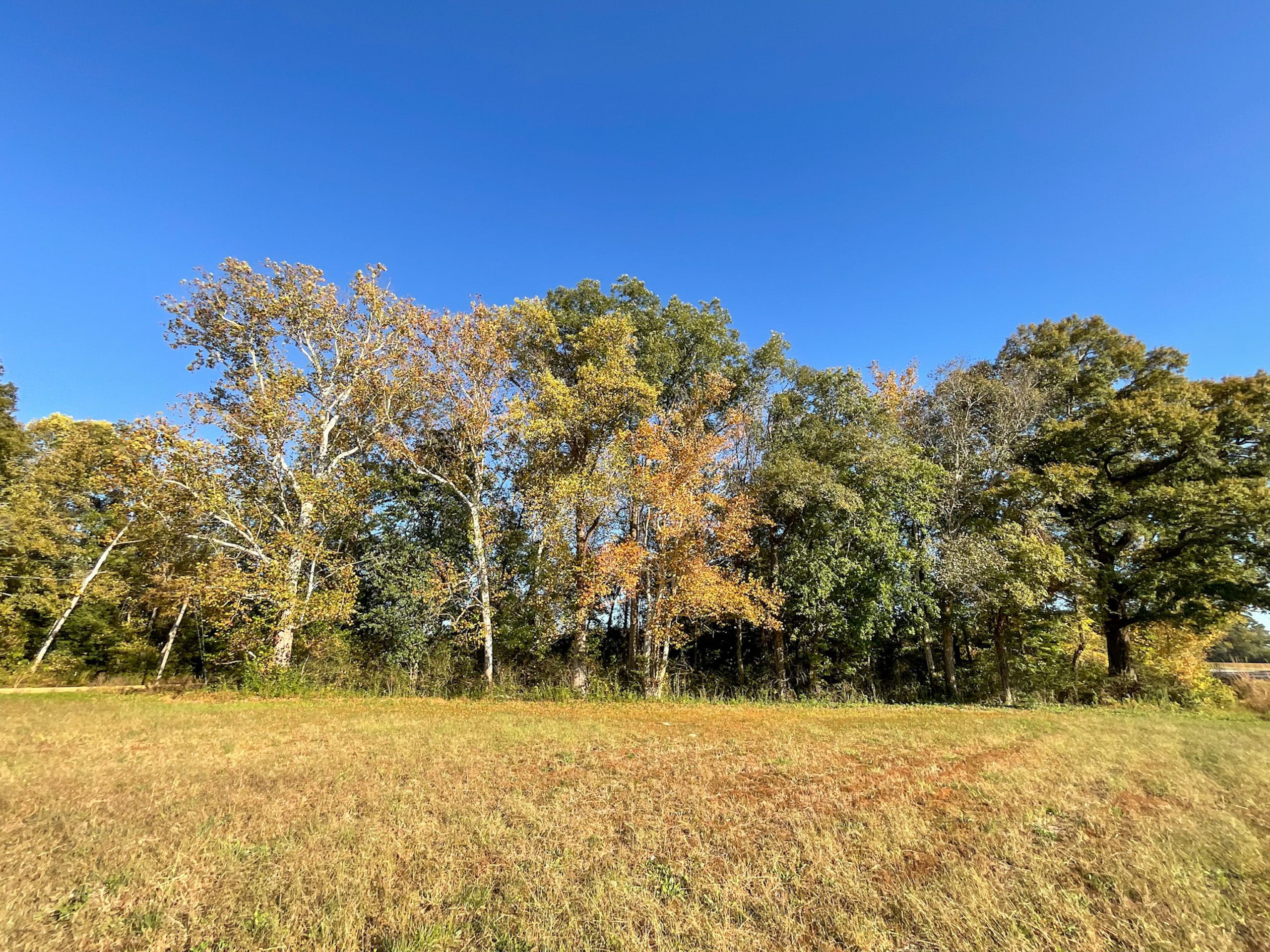 TBD Hwy 917, Fork, SC 29543 LandWatch