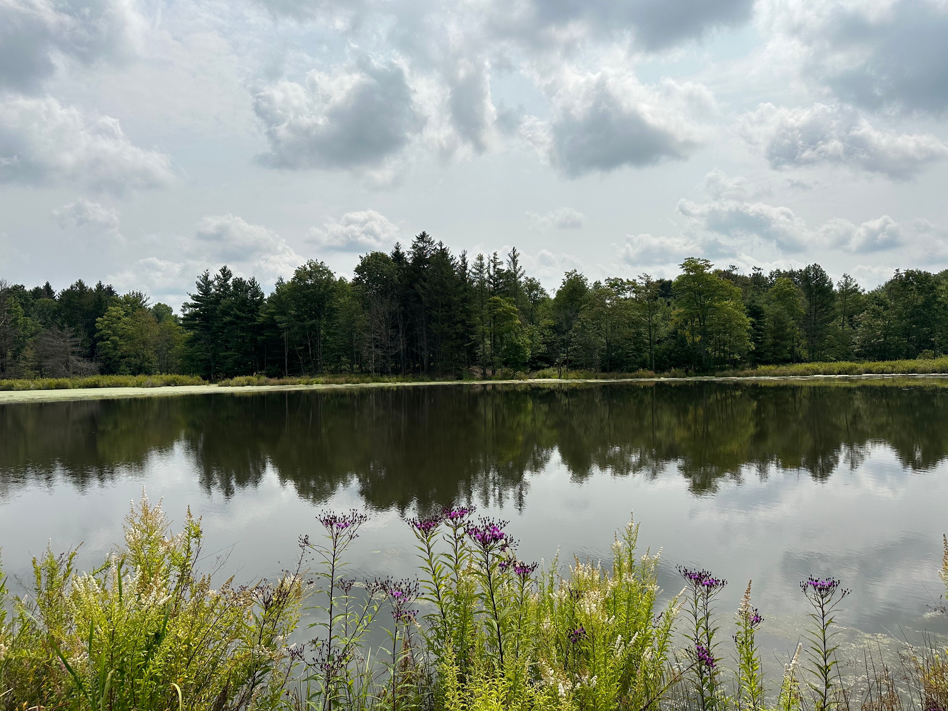 Green Acres Rd, LotWP002, Houtzdale, PA 16651 LandWatch