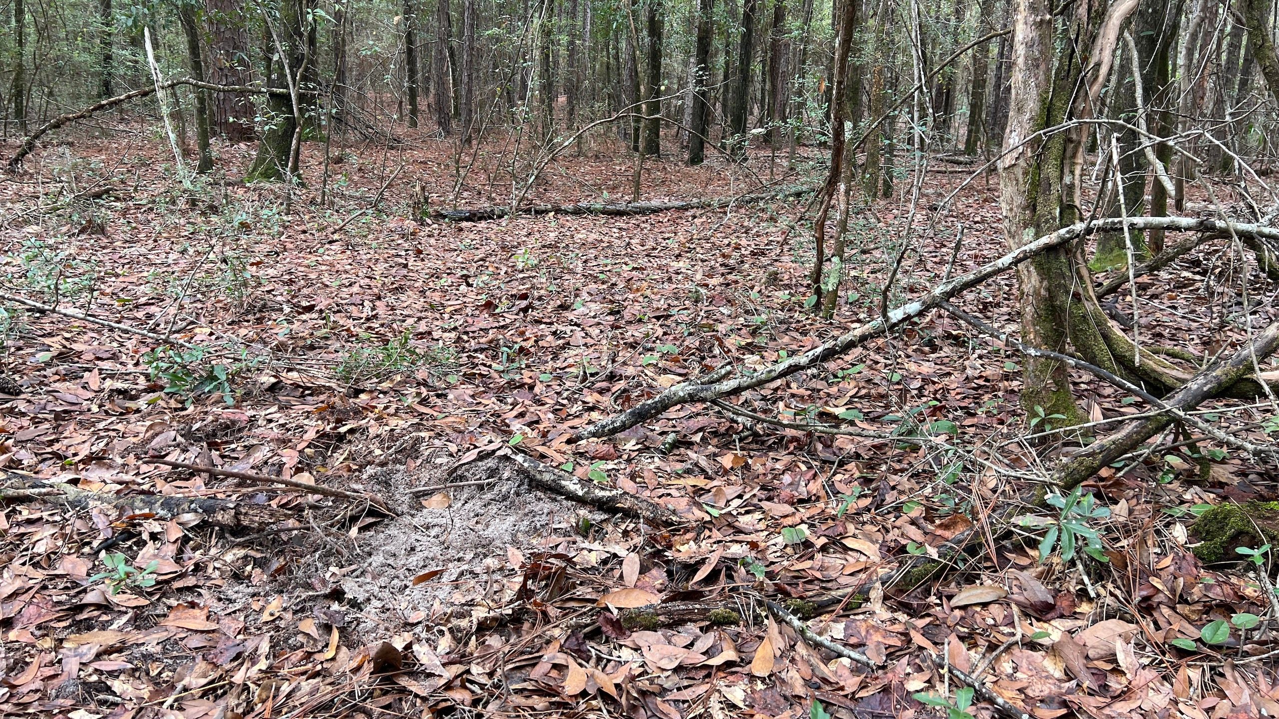 LotWP001, Lucedale, MS 39452 LandWatch