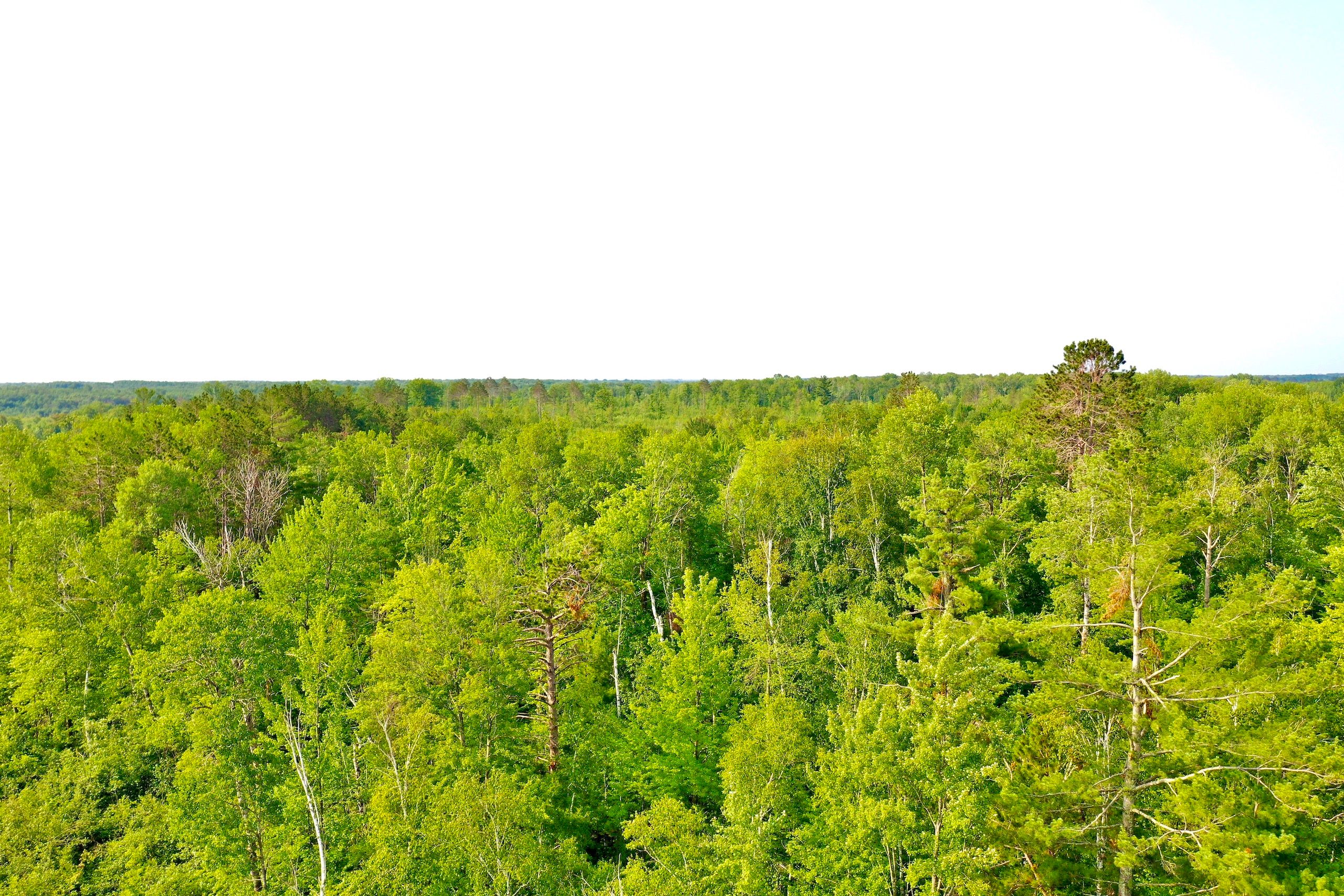 Sandstone, Pine County, MN Recreational Property, Timberland Property