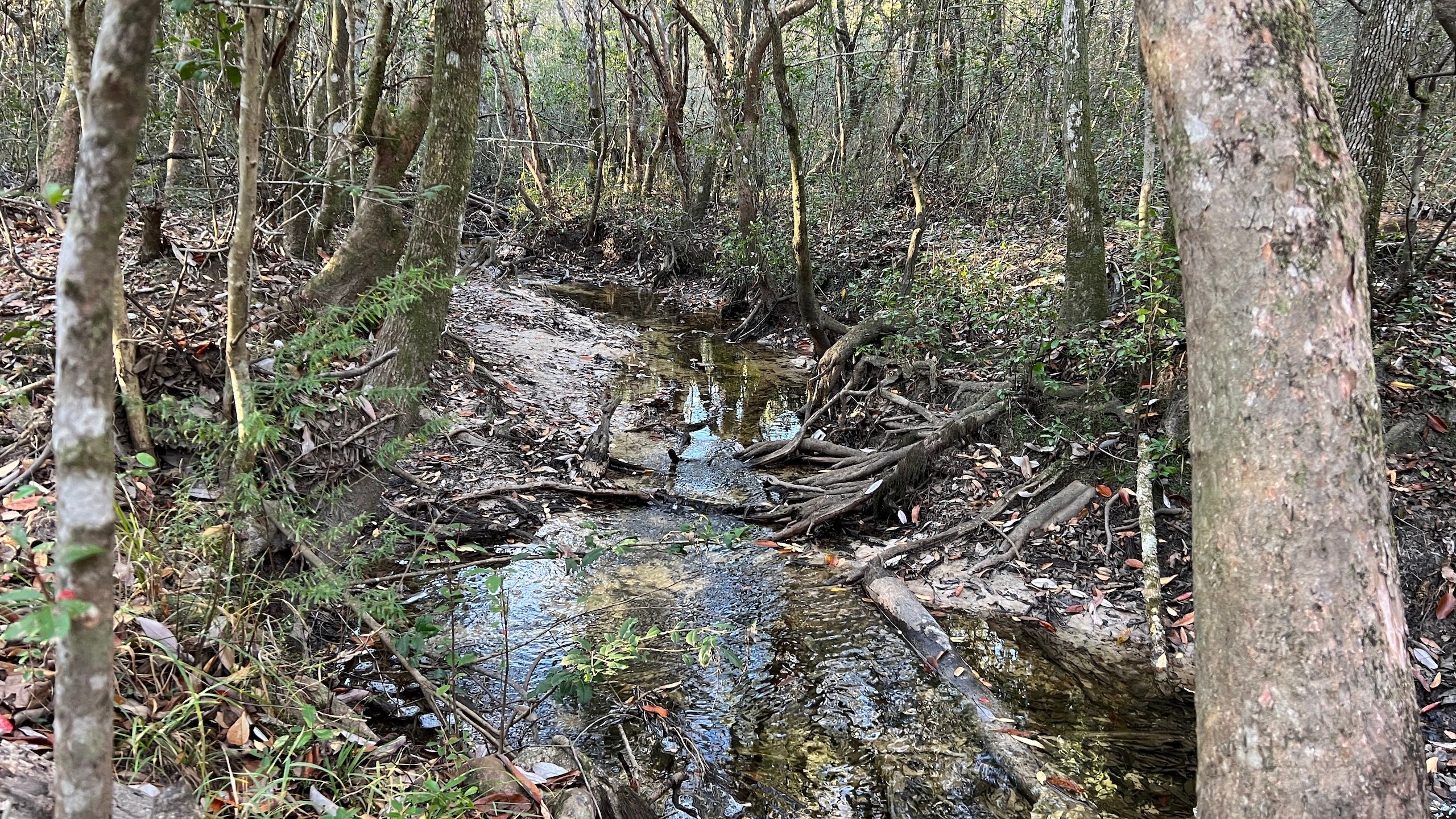 Highway 26, LotWP001, Benndale, MS 39452 LandWatch