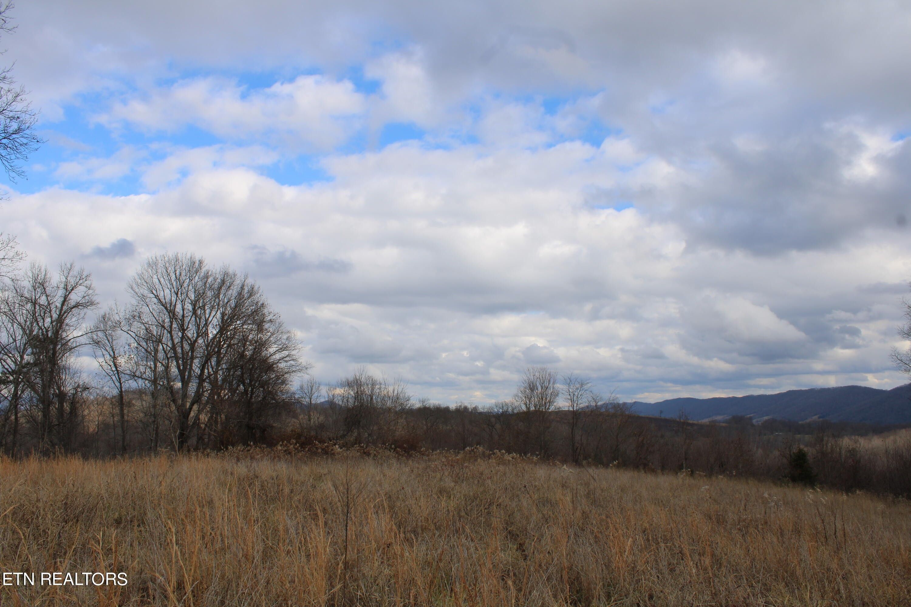 Tazewell, Claiborne County, TN Undeveloped Land for sale Property ID