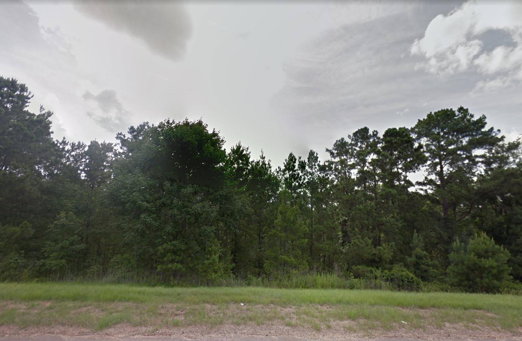 Brookeland, Jasper County, TX Recreational Property, Undeveloped Land, Homesites for sale