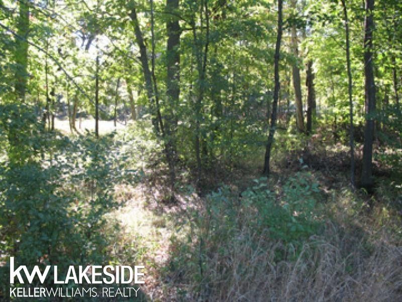 Sand Point, Huron County, MI Undeveloped Land, Lakefront Property