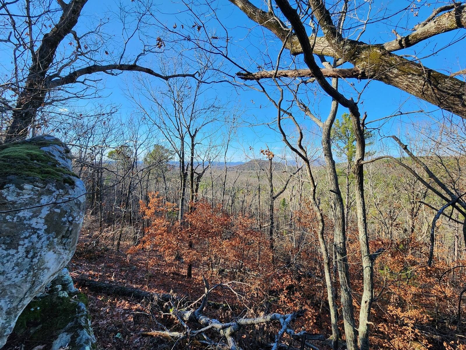 Heavener, Le Flore County, OK Undeveloped Land, Lakefront Property