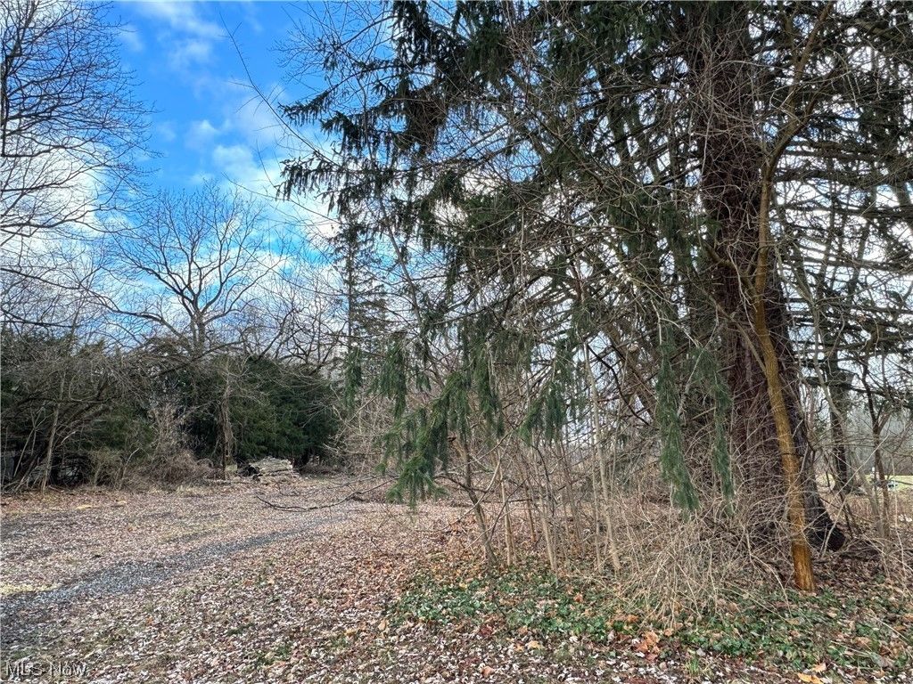 Madison, Lake County, OH Undeveloped Land for sale Property ID