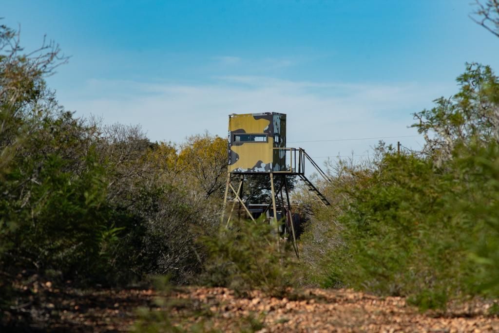 30 acres in Pearsall, TX, 78061 LandWatch