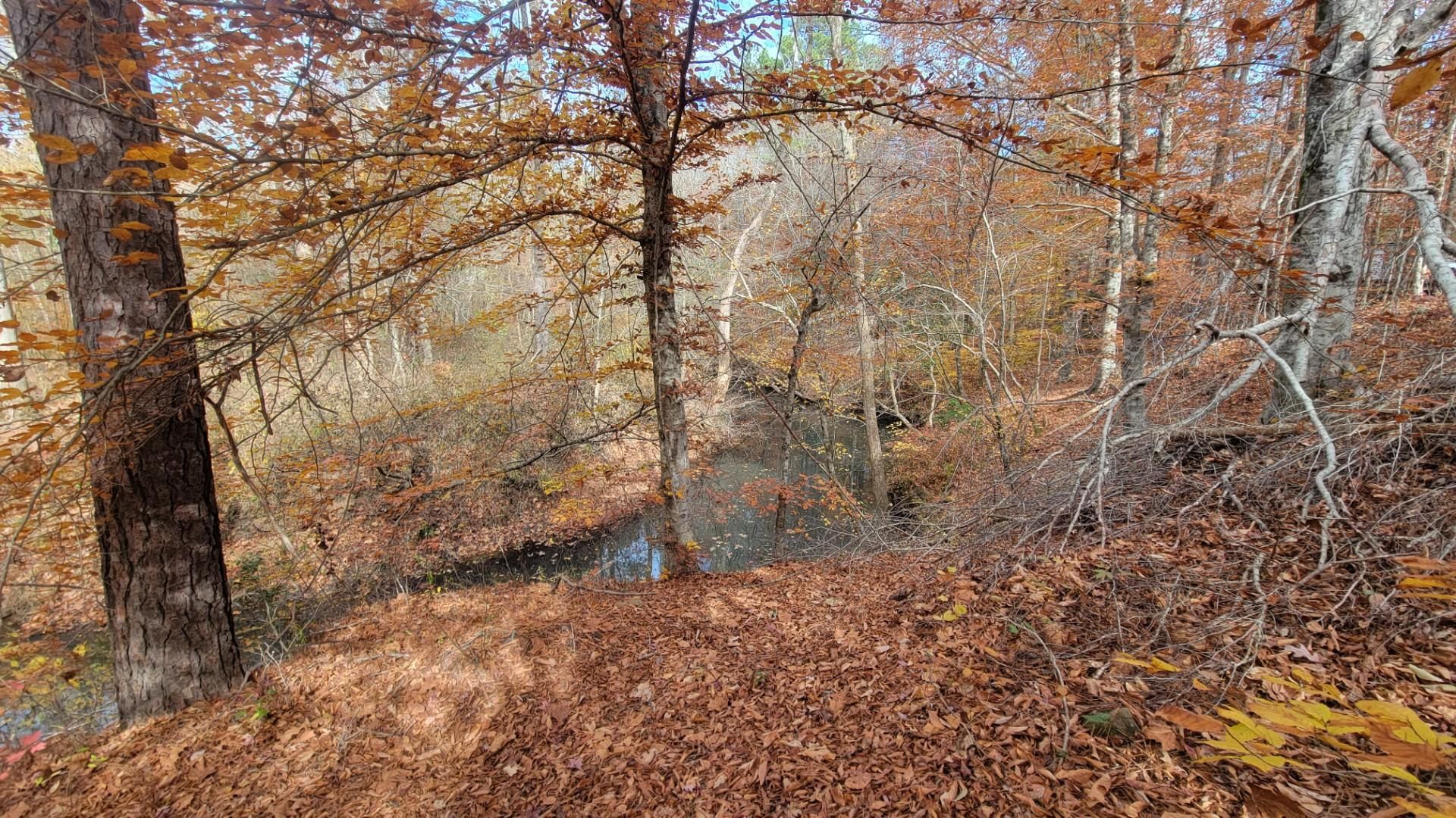 Powells Mill Road, Warrenton, NC 27589 LandWatch