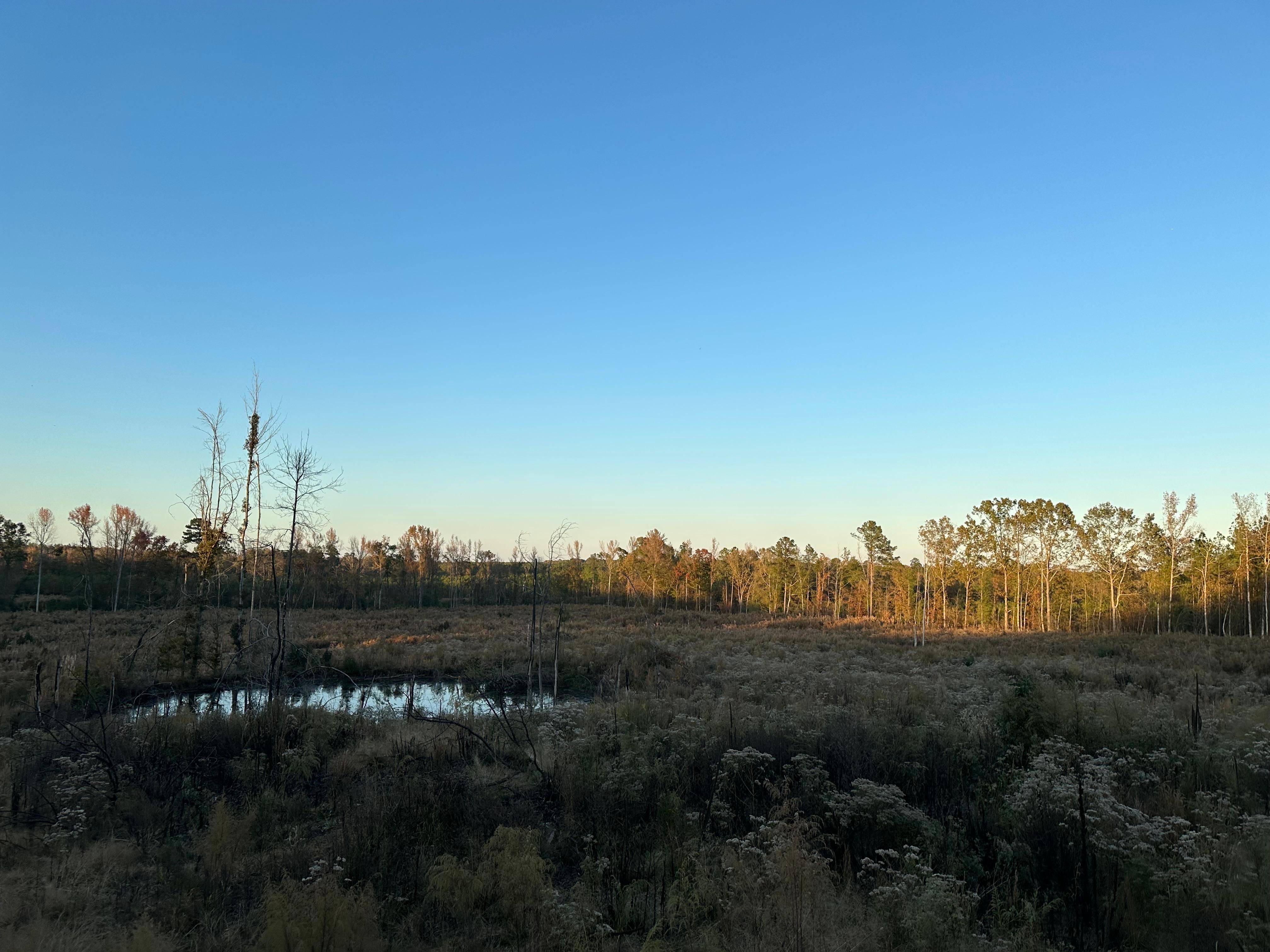 80 acres in Warren, AR, 71671 MLS 0301903850 LandWatch