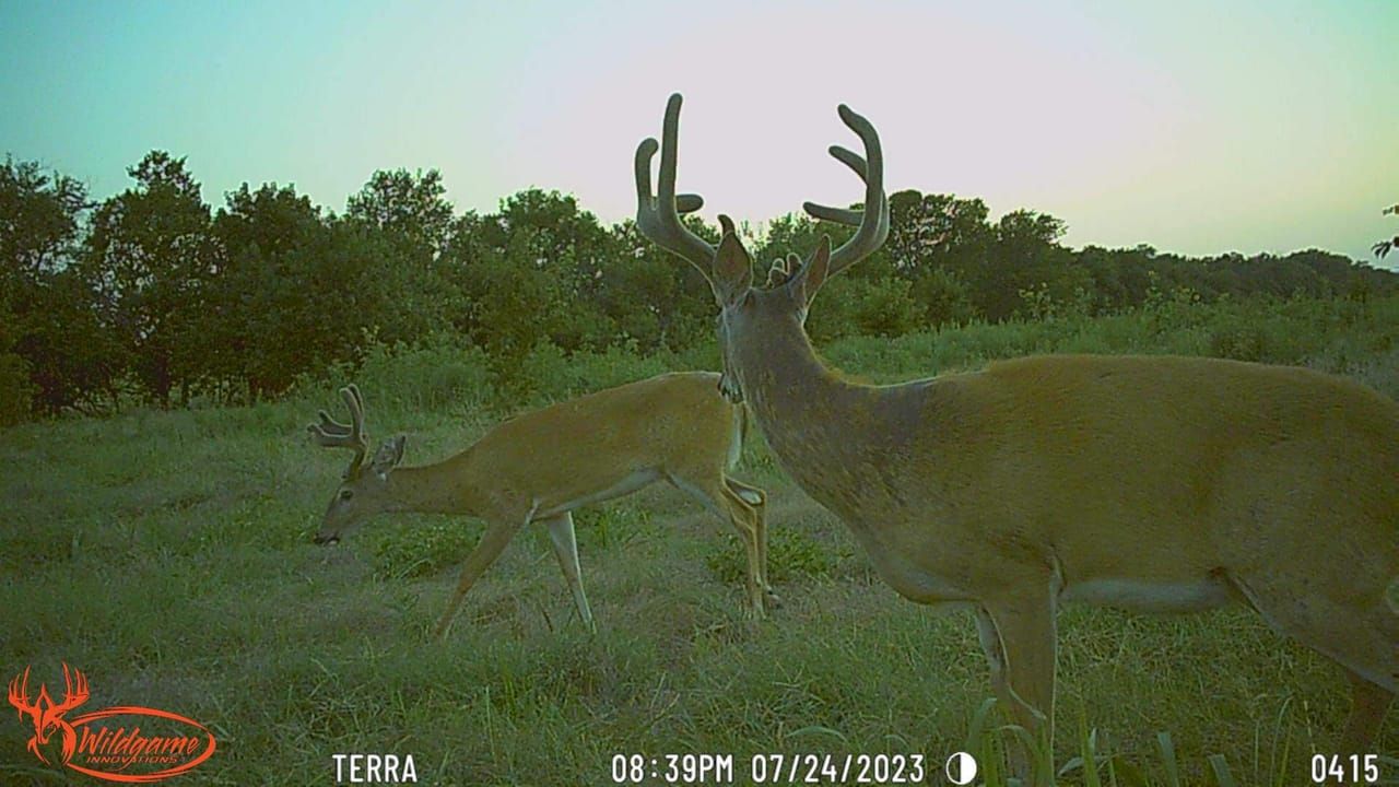 2678 CR 2100, Havana, KS 67347 LandWatch