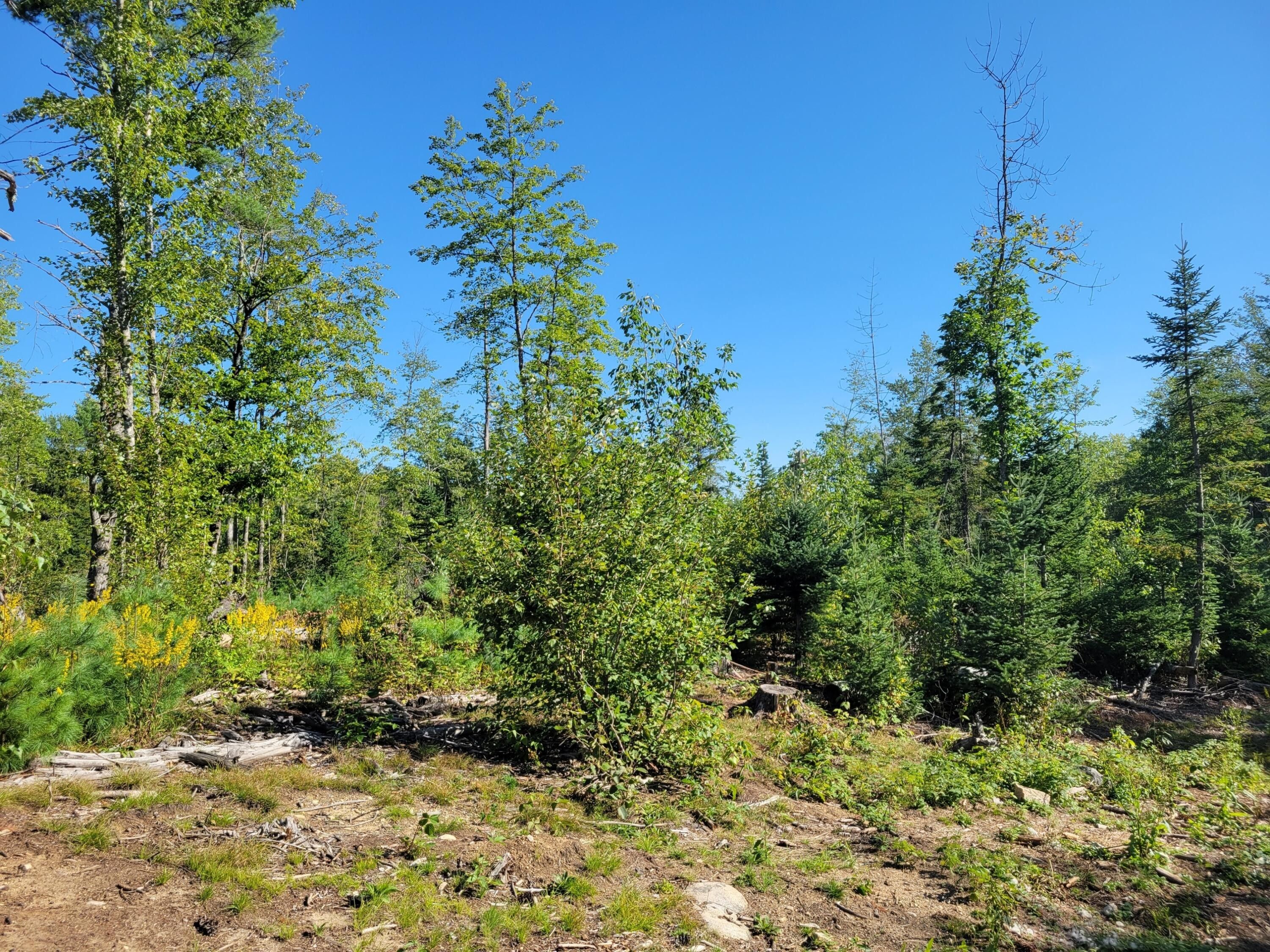 Harrison, Cumberland County, ME Undeveloped Land, Lakefront Property