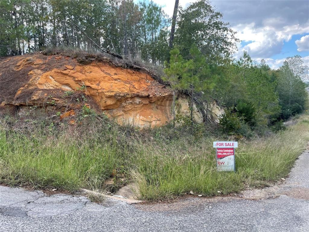 Bastrop, Bastrop County, TX Undeveloped Land, Homesites for sale