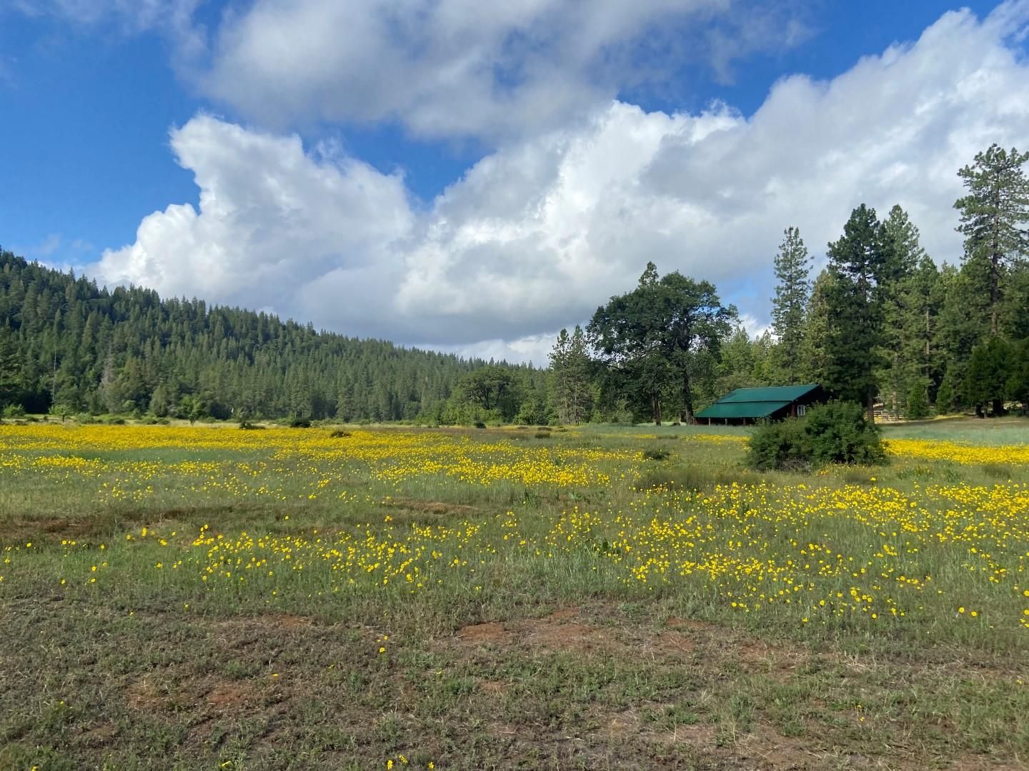 Oak Run, Shasta County, CA Farms and Ranches, House for sale Property